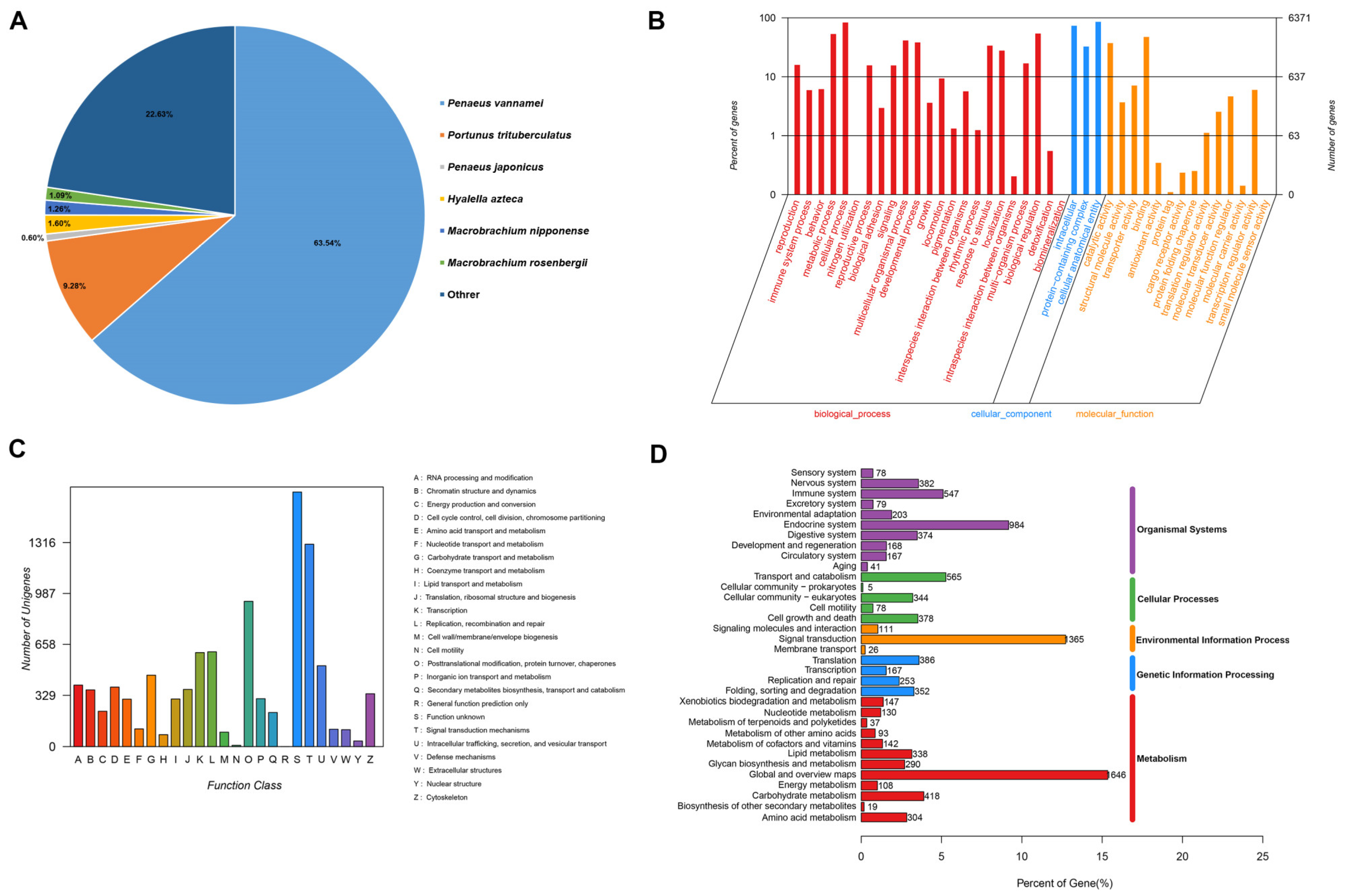 Animals 14 02864 g001