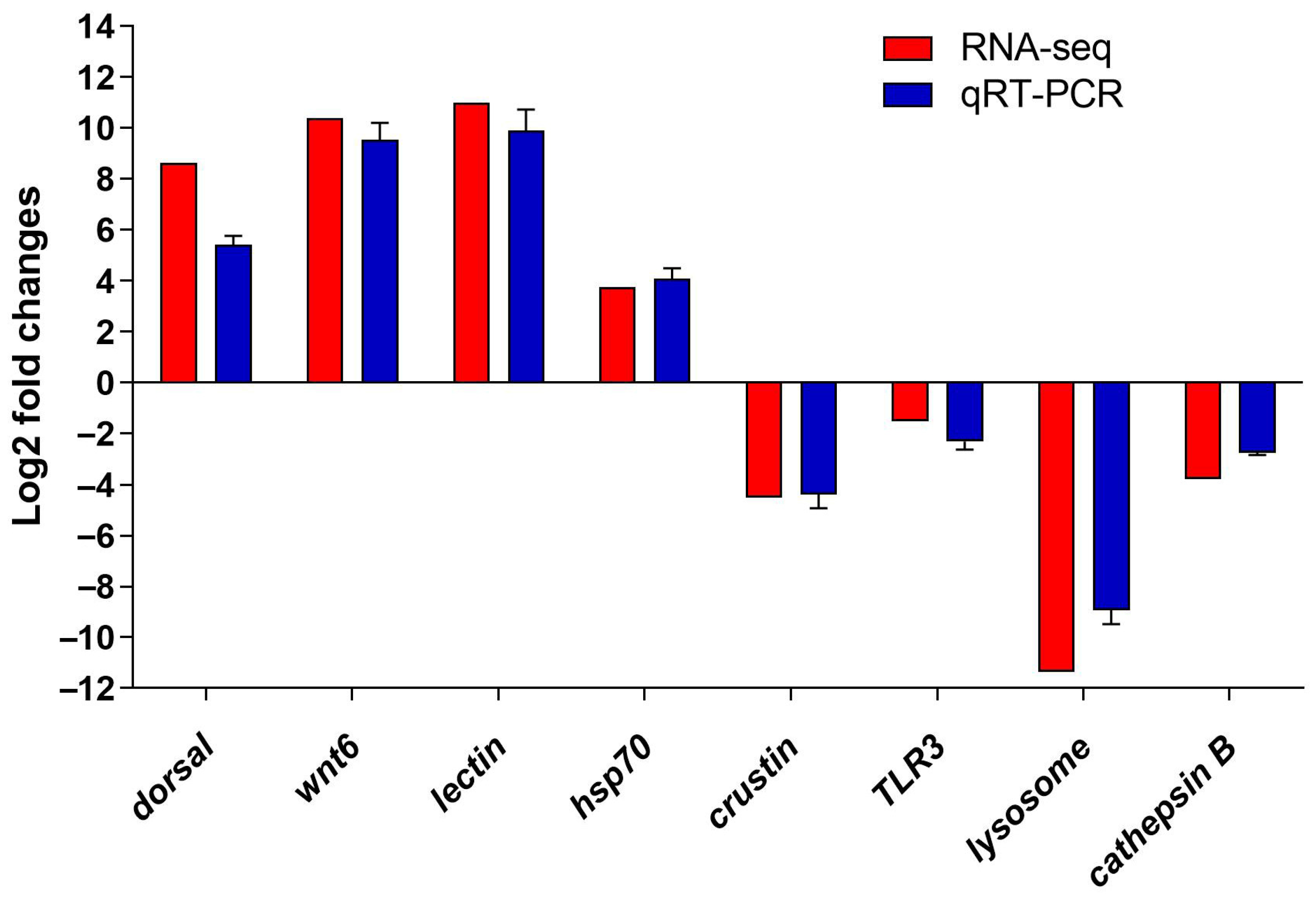 Animals 14 02864 g005