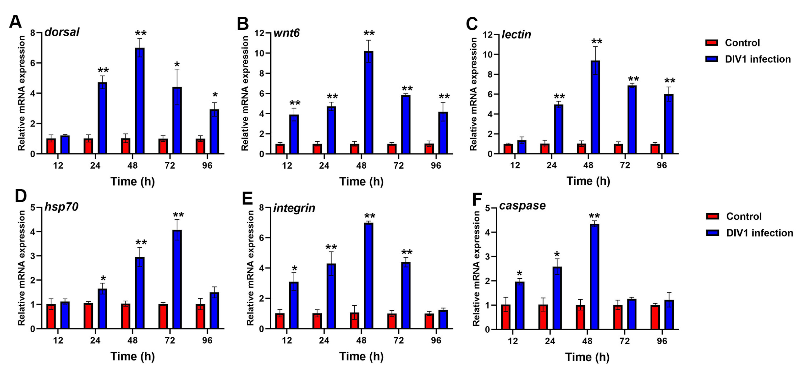 Animals 14 02864 g006