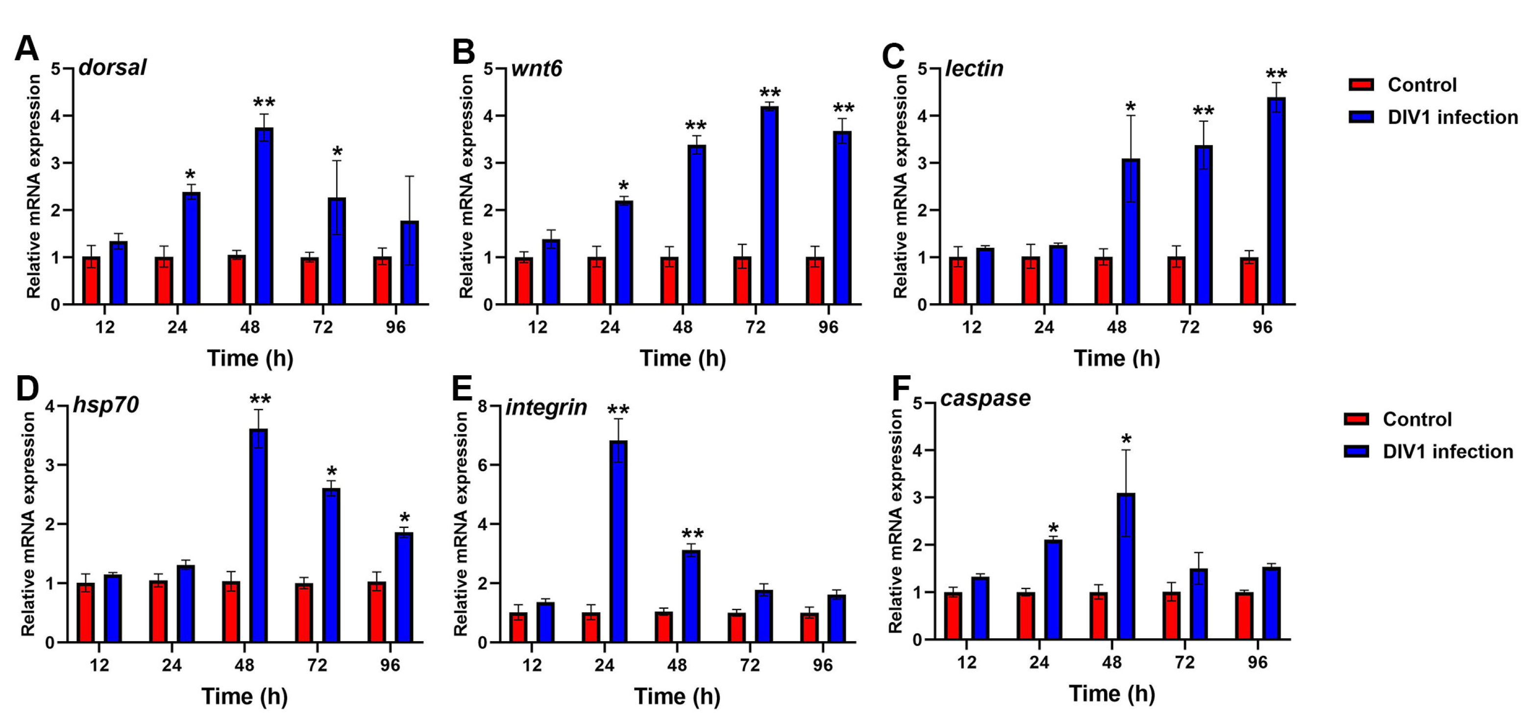 Animals 14 02864 g007