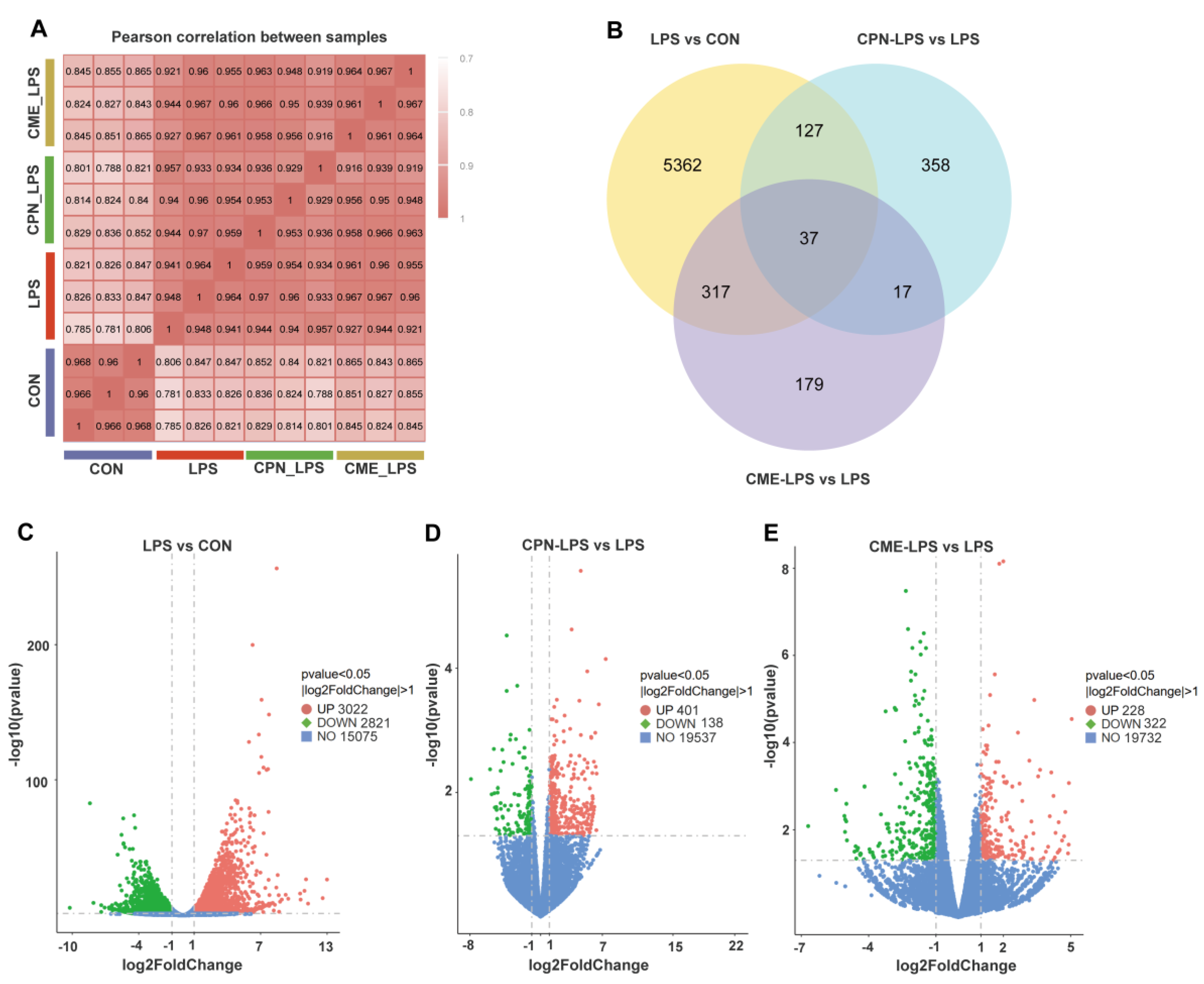 Animals 14 02873 g002