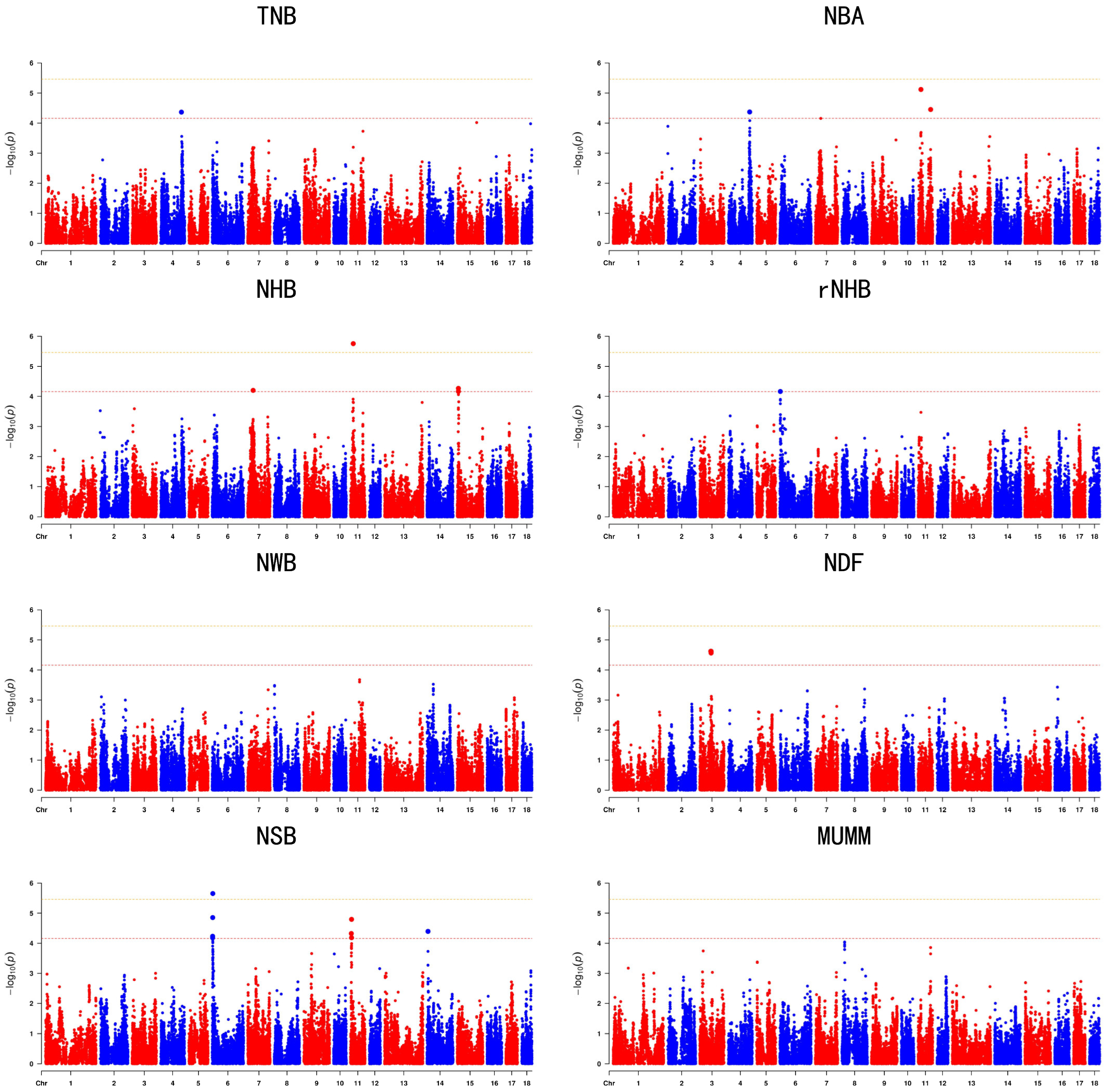 Animals 14 02874 g002