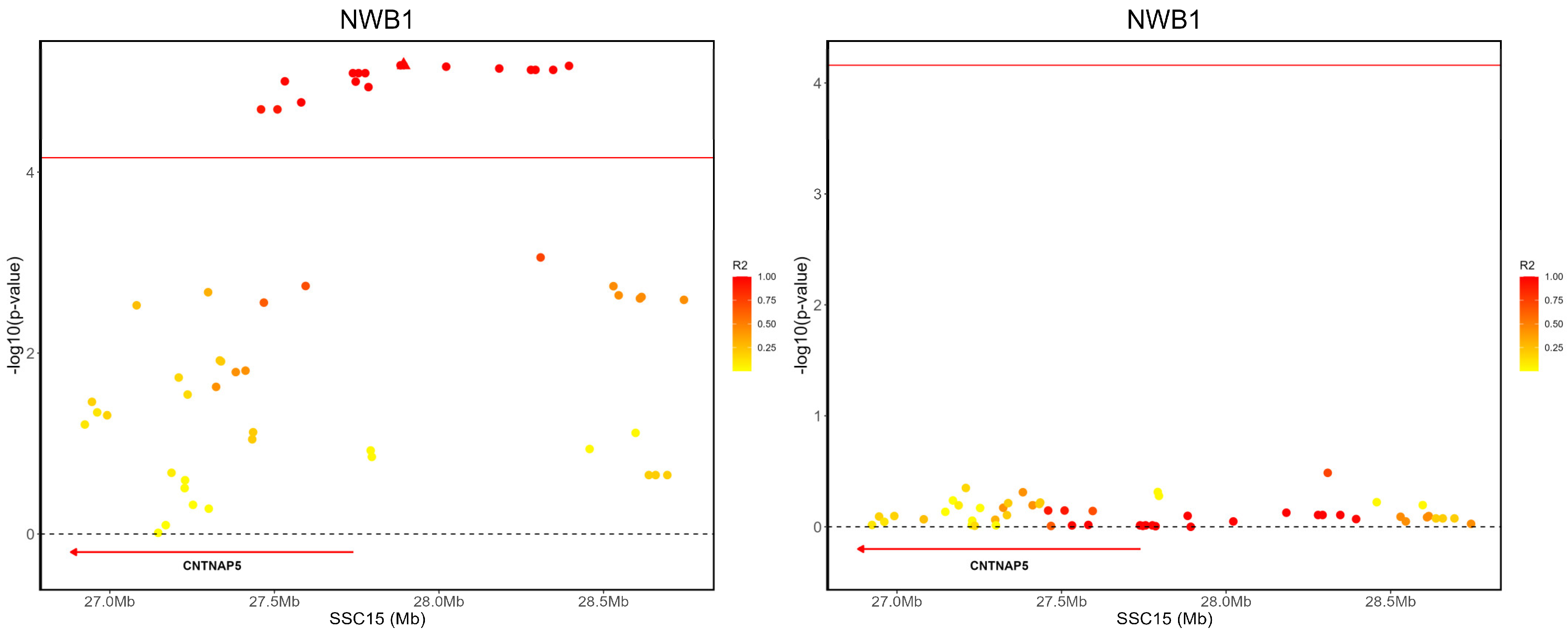 Animals 14 02874 g004