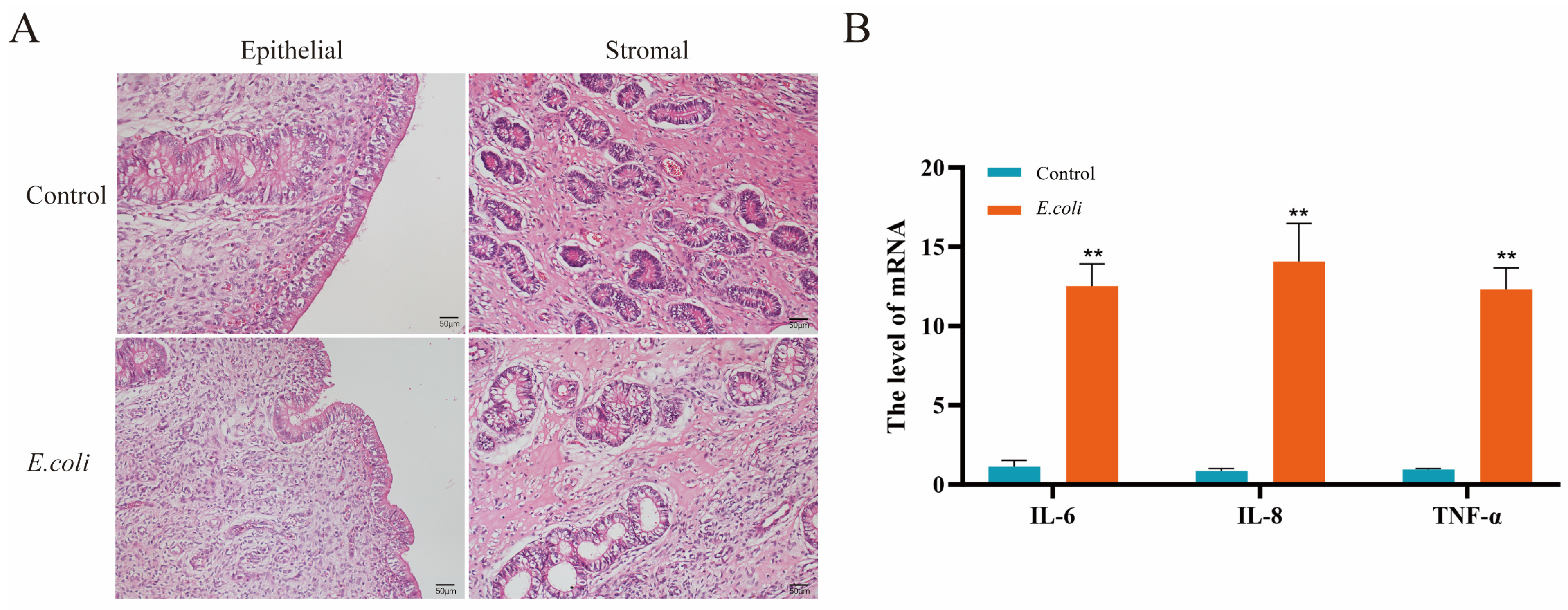 Animals 14 02876 g001
