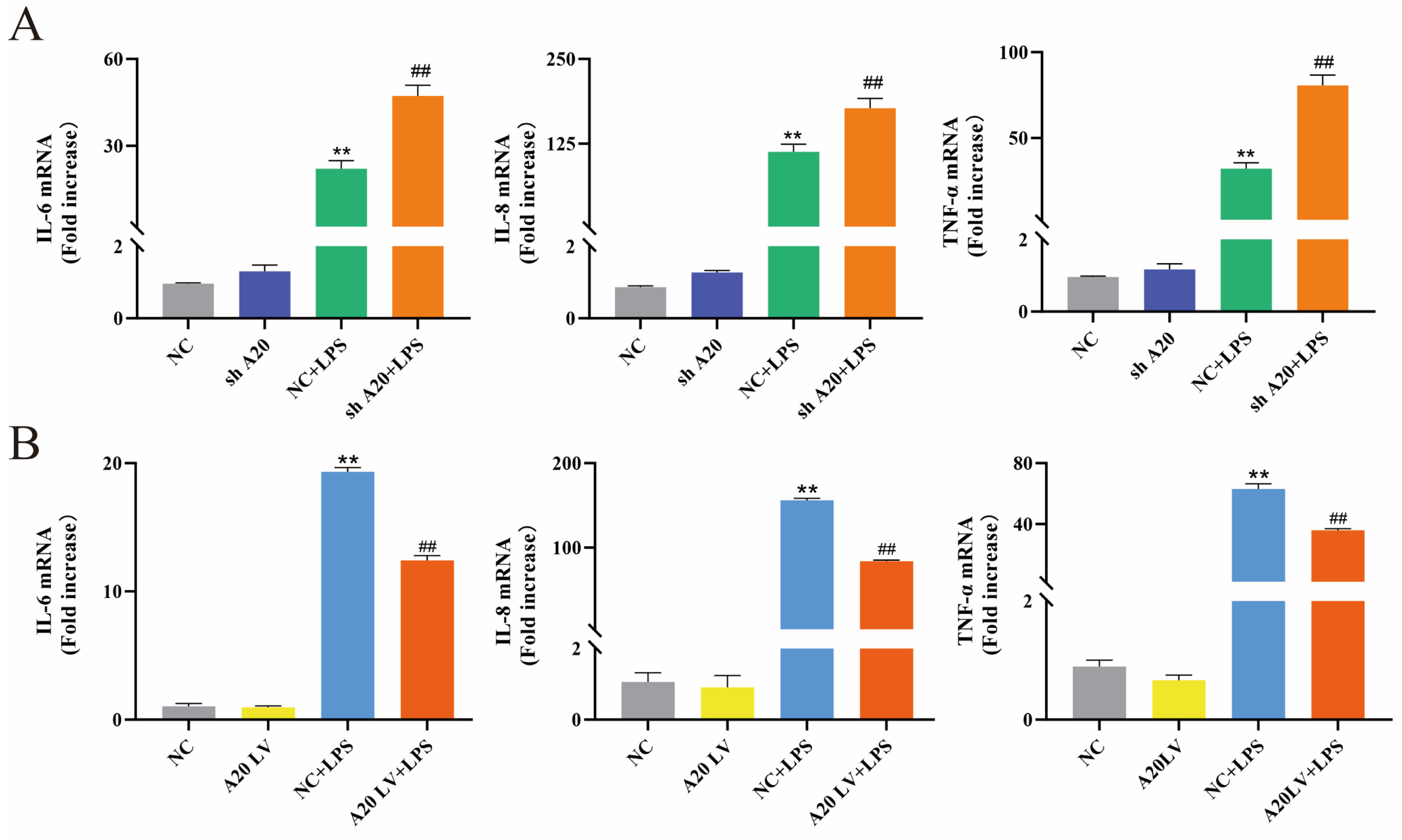 Animals 14 02876 g004