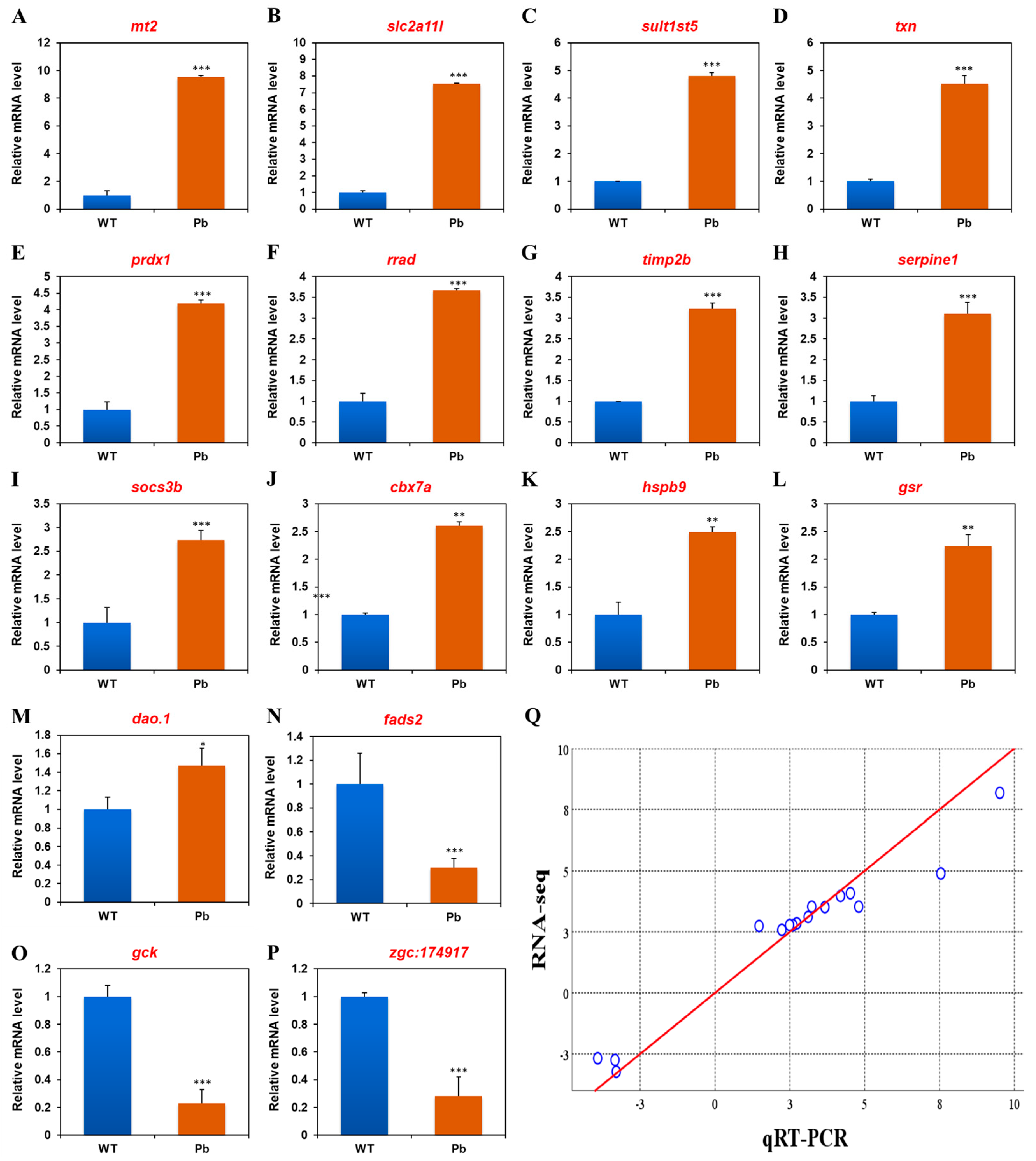 Animals 14 02877 g003