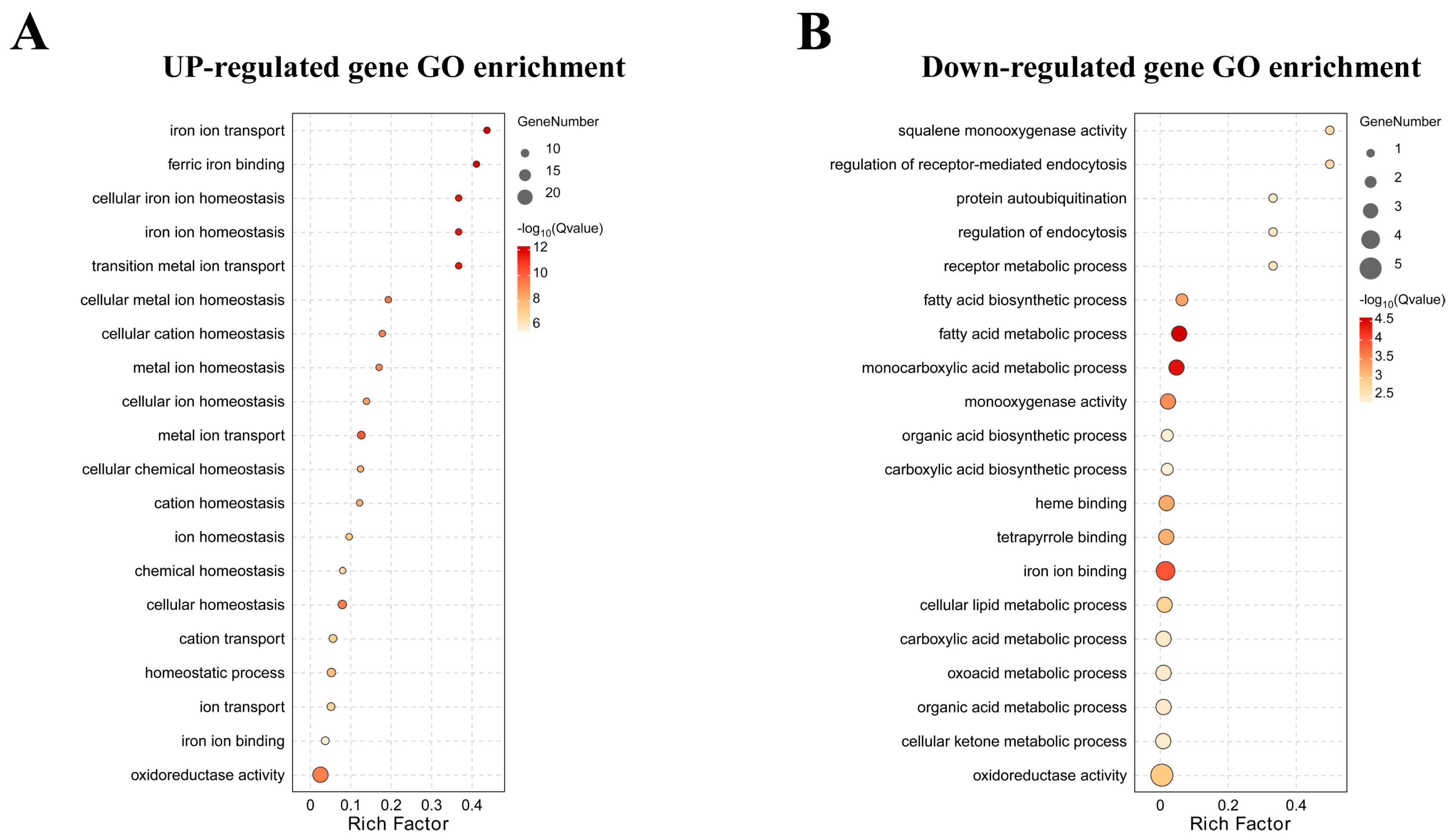 Animals 14 02877 g004