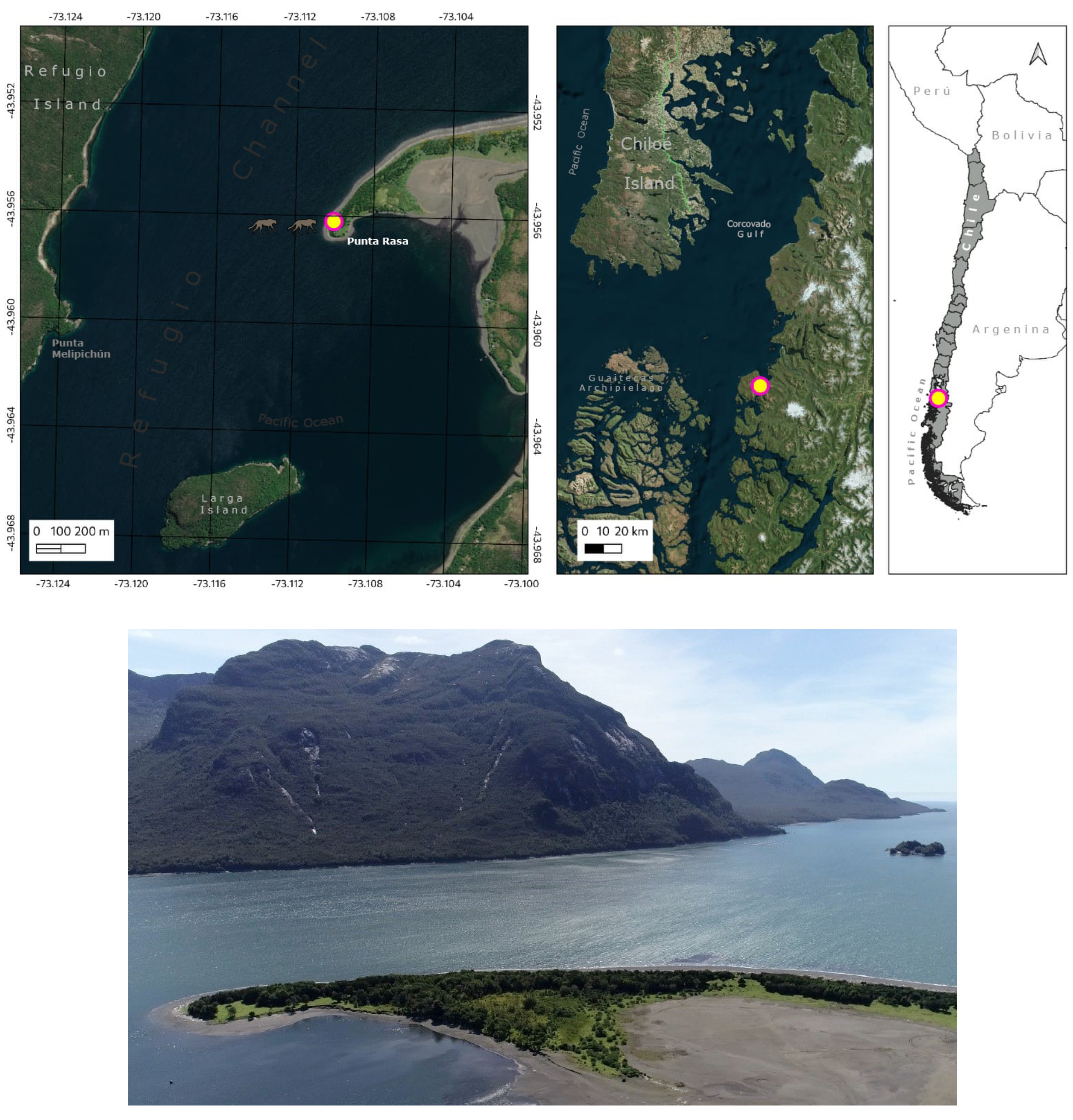 Animals 14 02879 g001