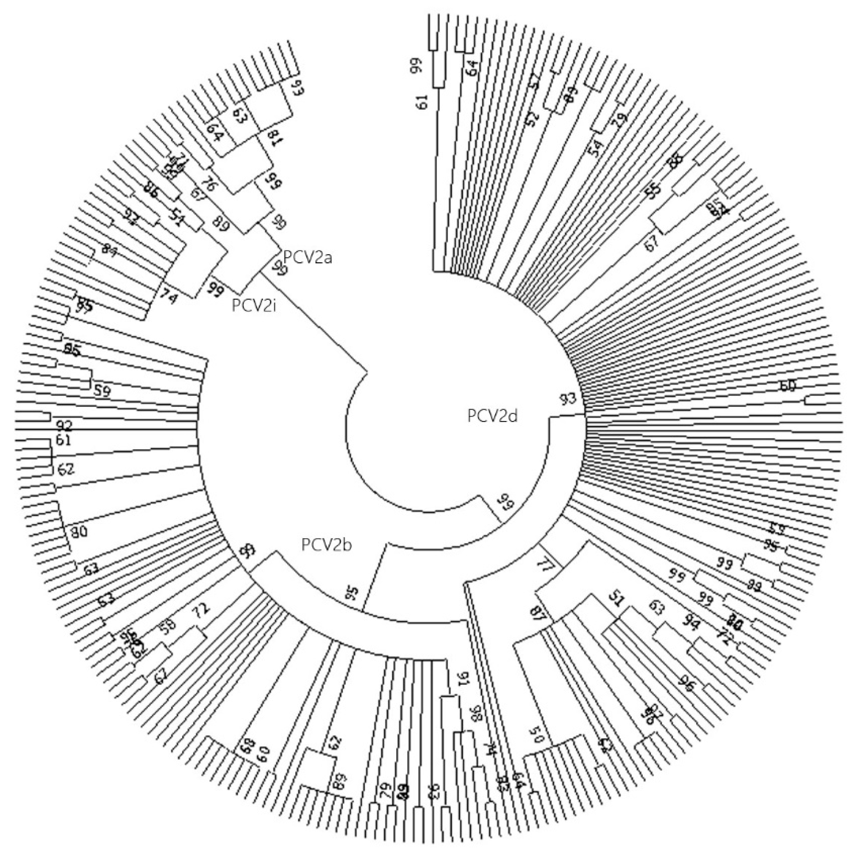Animals 14 02882 g001 Animals 14 02882 g001