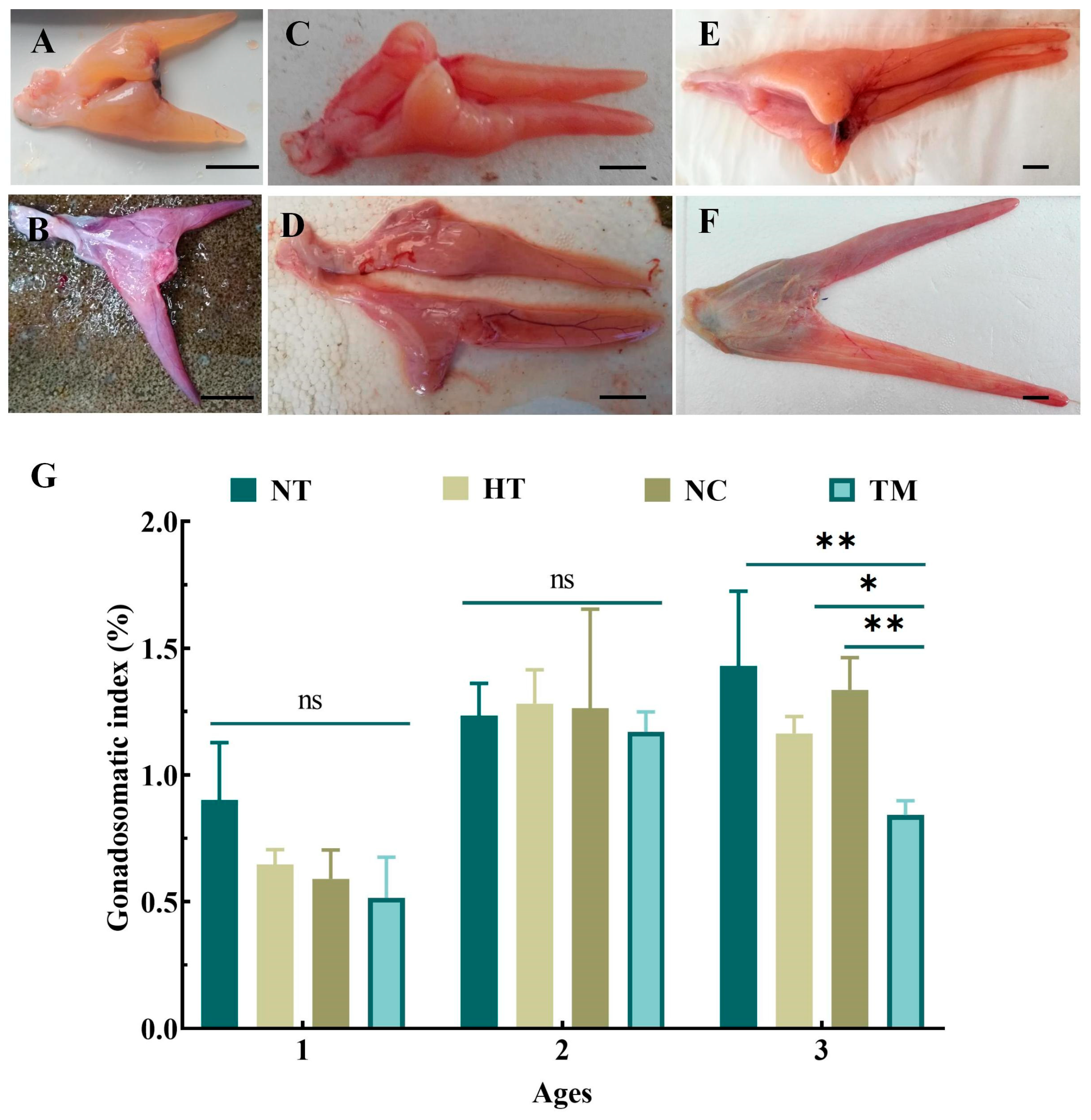 Animals 14 02887 g002