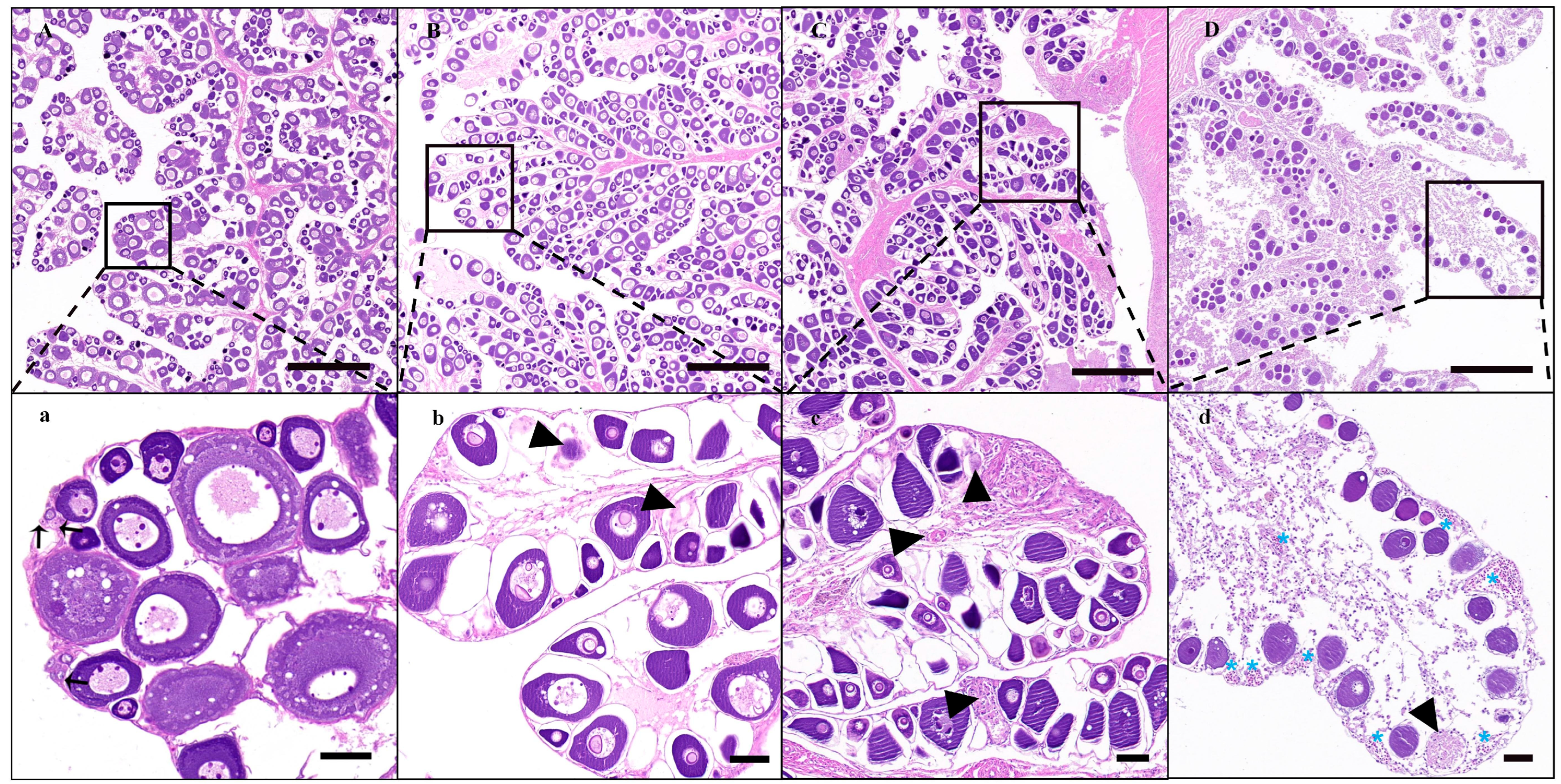 Animals 14 02887 g003