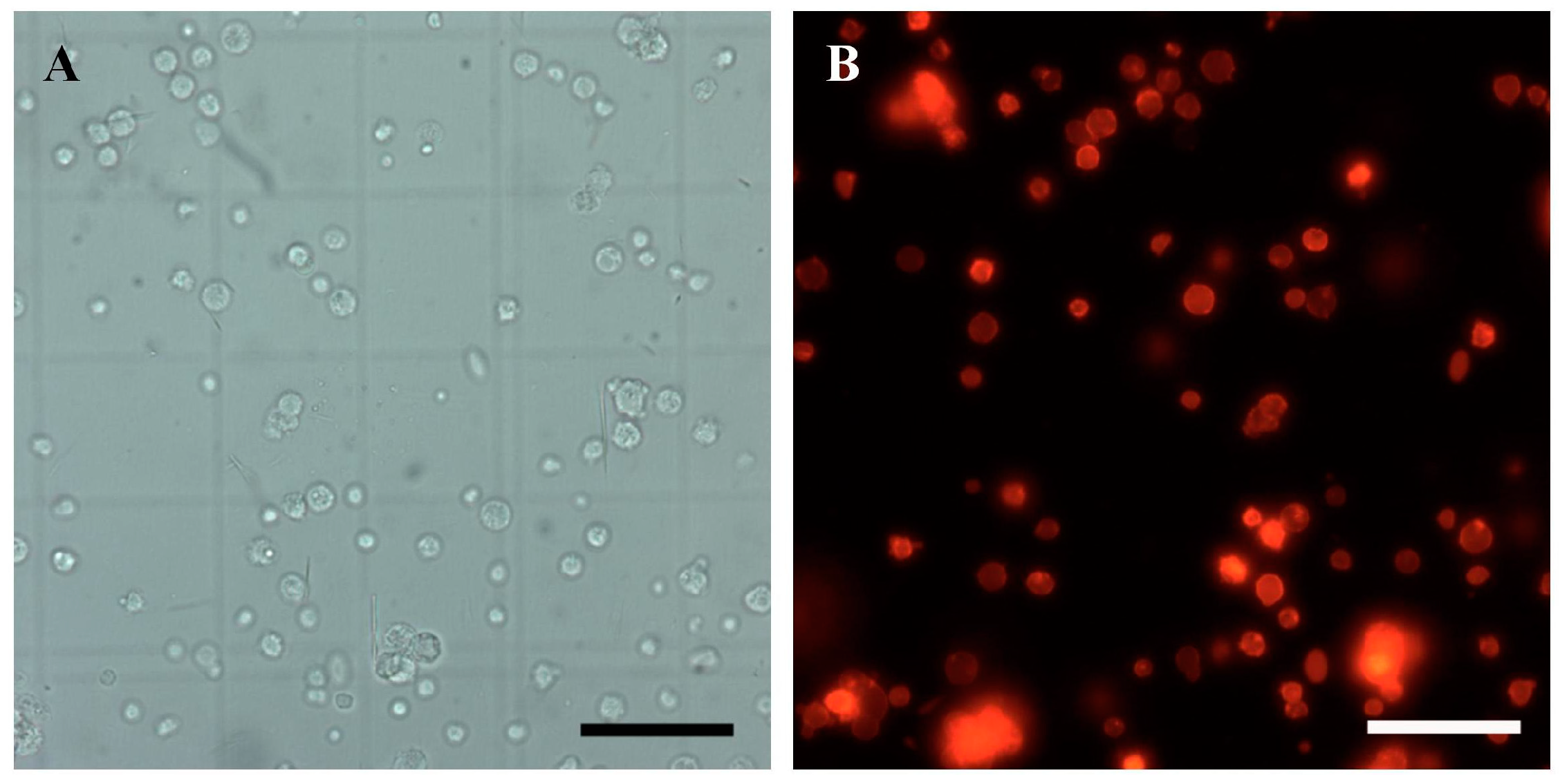 Animals 14 02887 g007