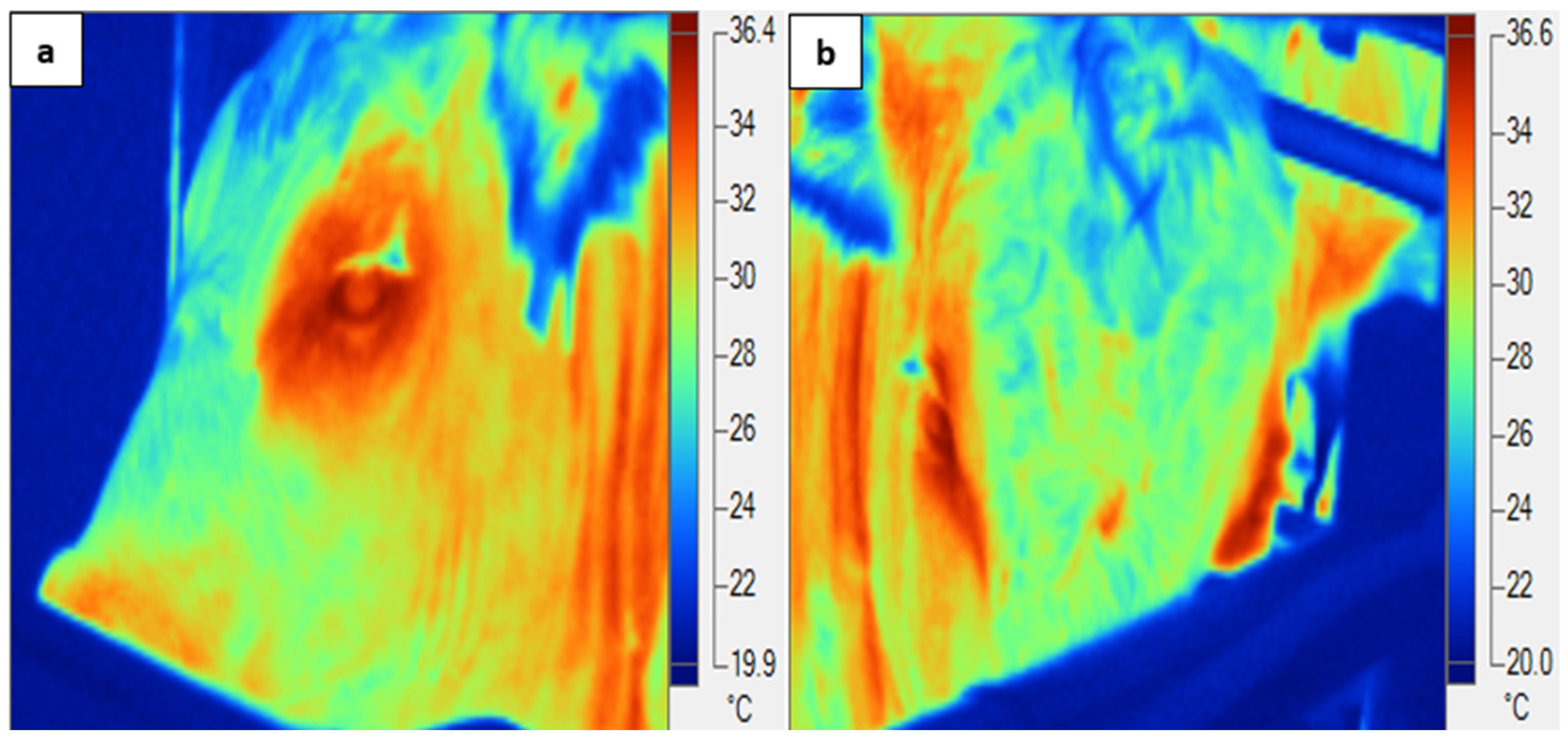 Animals 14 02898 g001