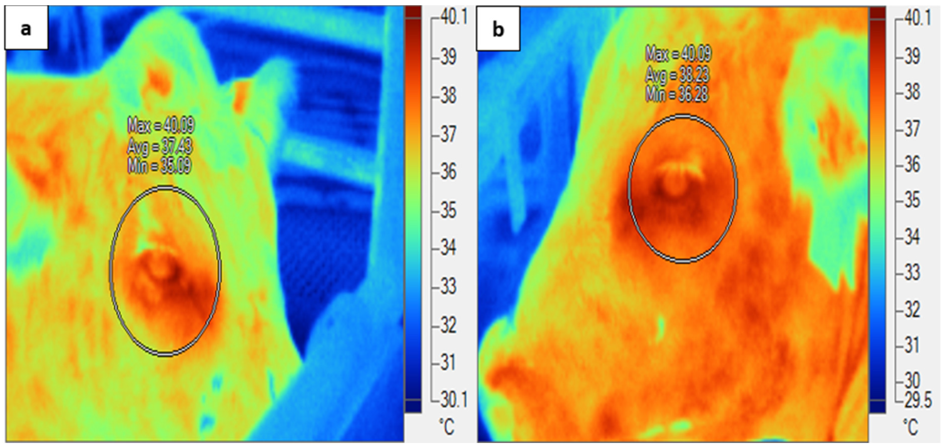 Animals 14 02898 g002