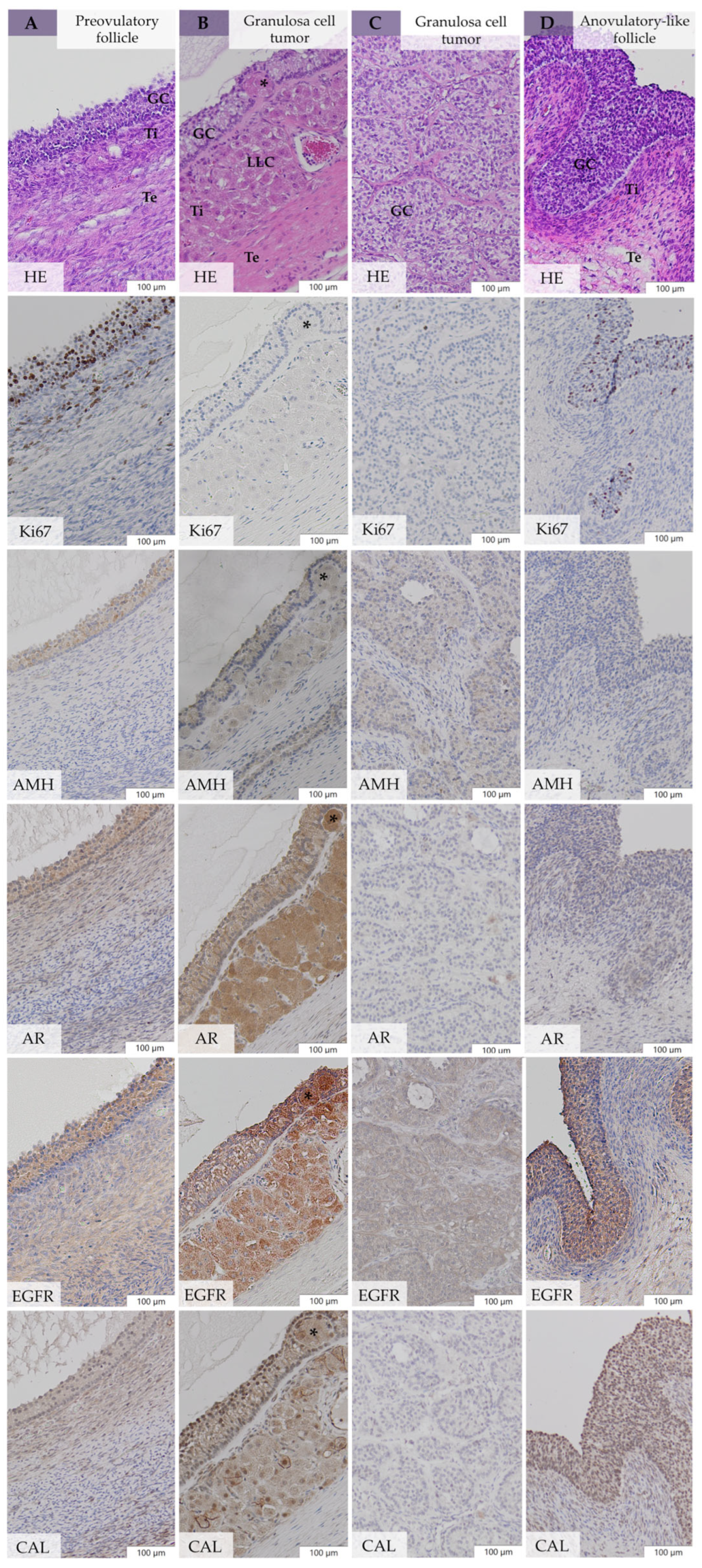 Animals 14 02899 g005 Animals 14 02899 g005