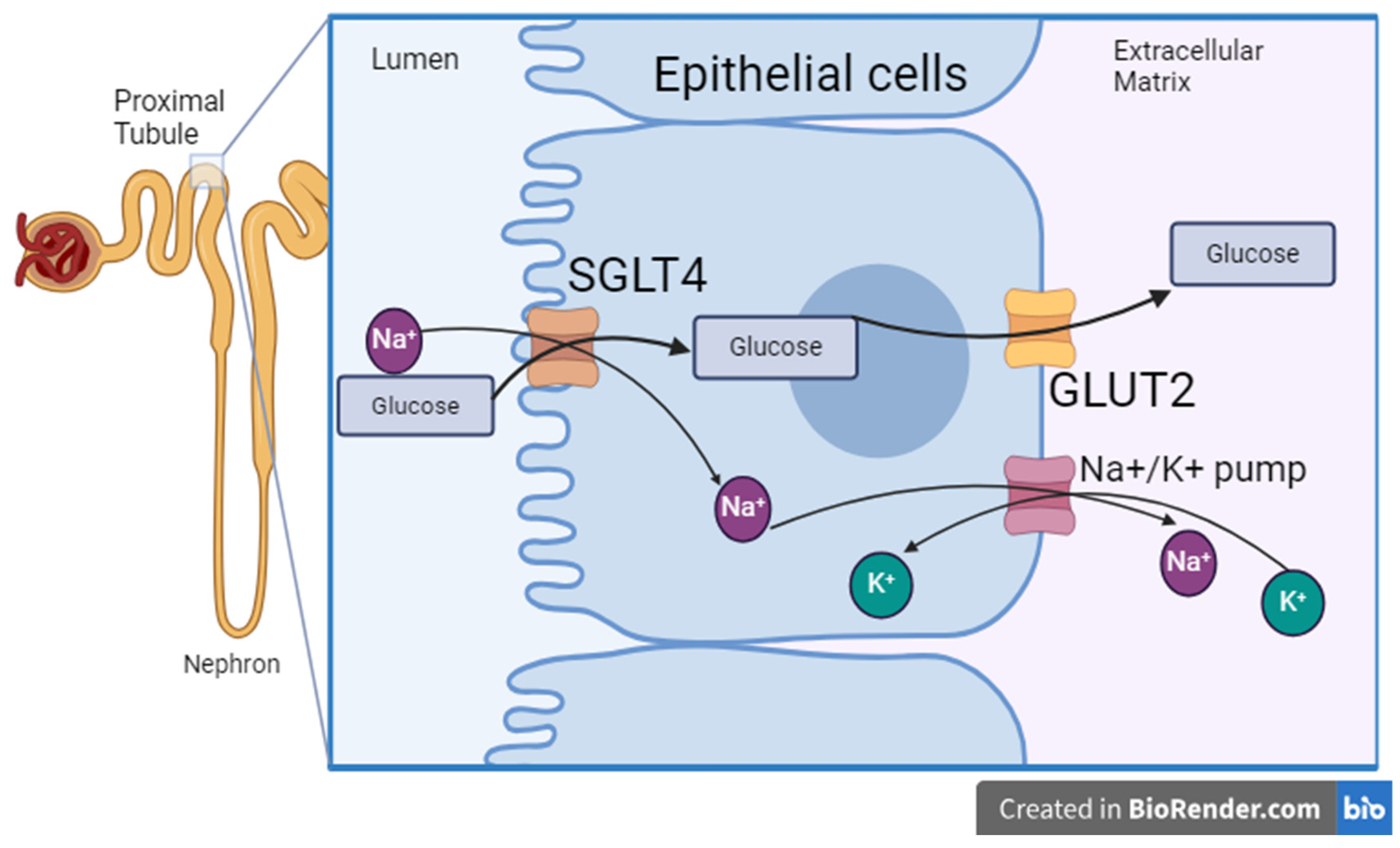 Animals 14 02912 g003