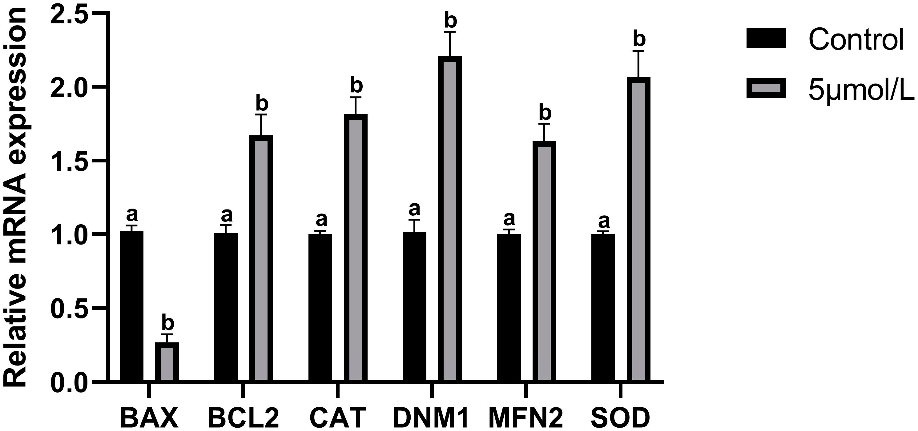 Animals 14 02929 g006