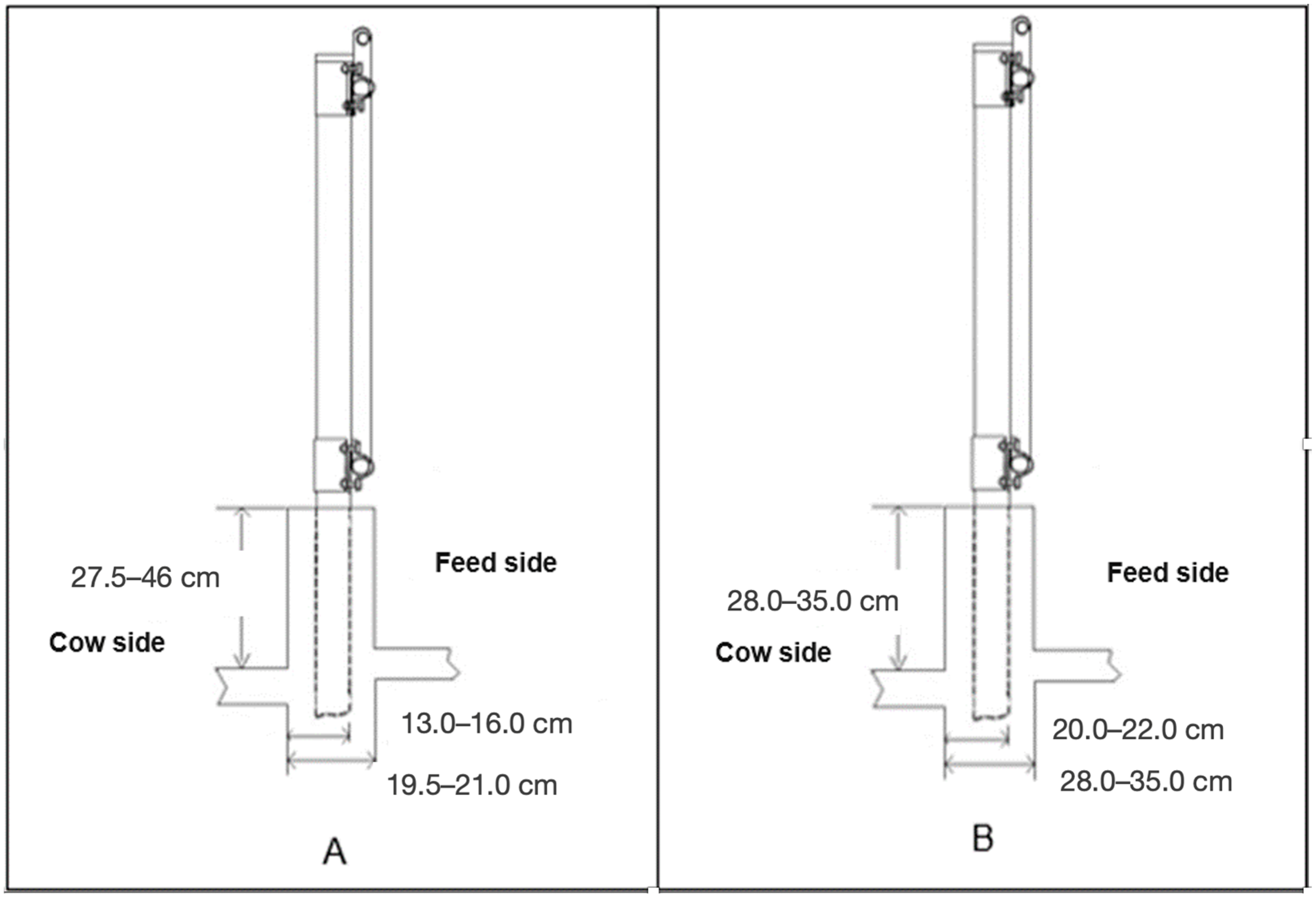 Animals 14 02930 g002 Animals 14 02930 g002