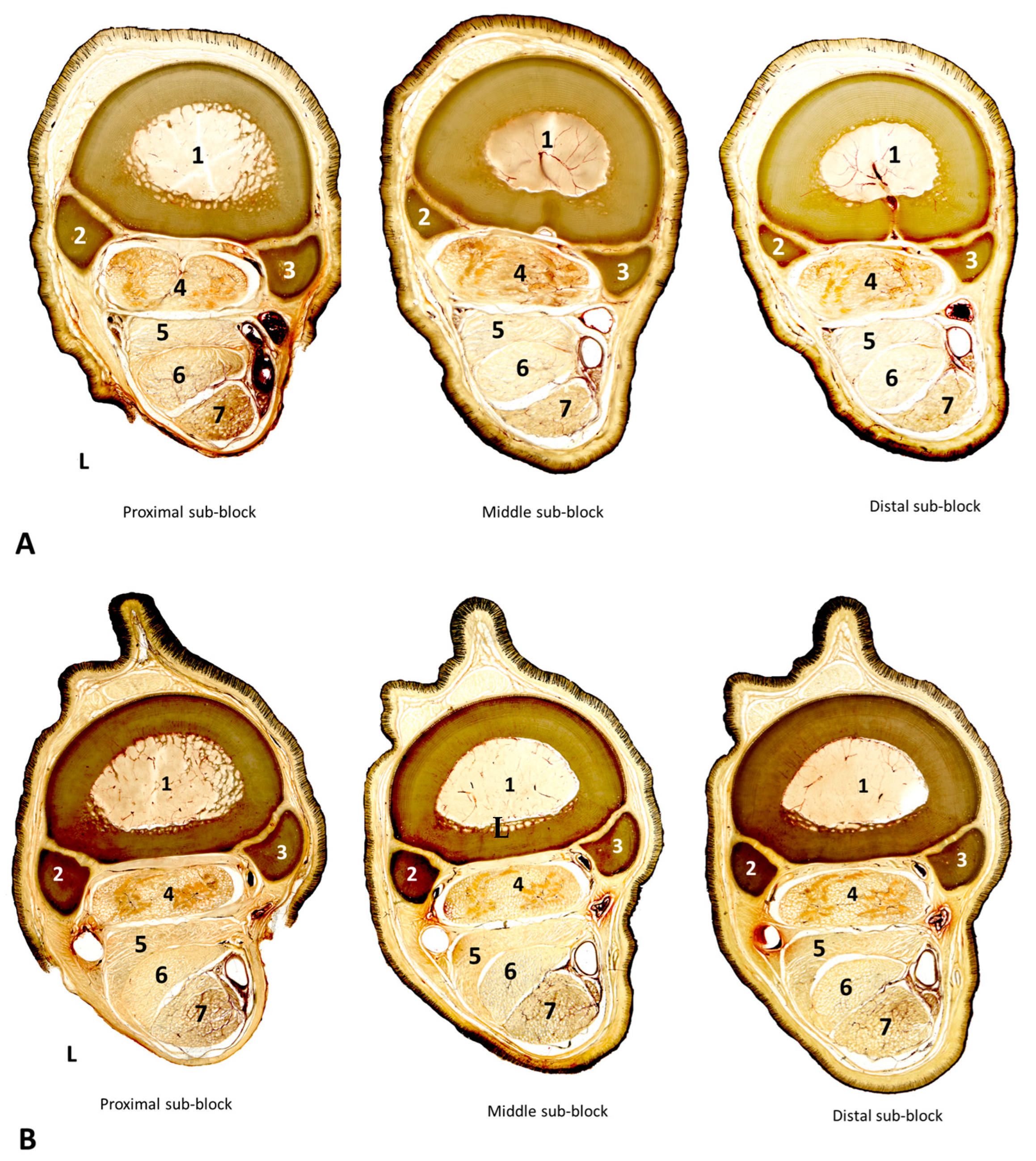 Animals 14 02952 g004