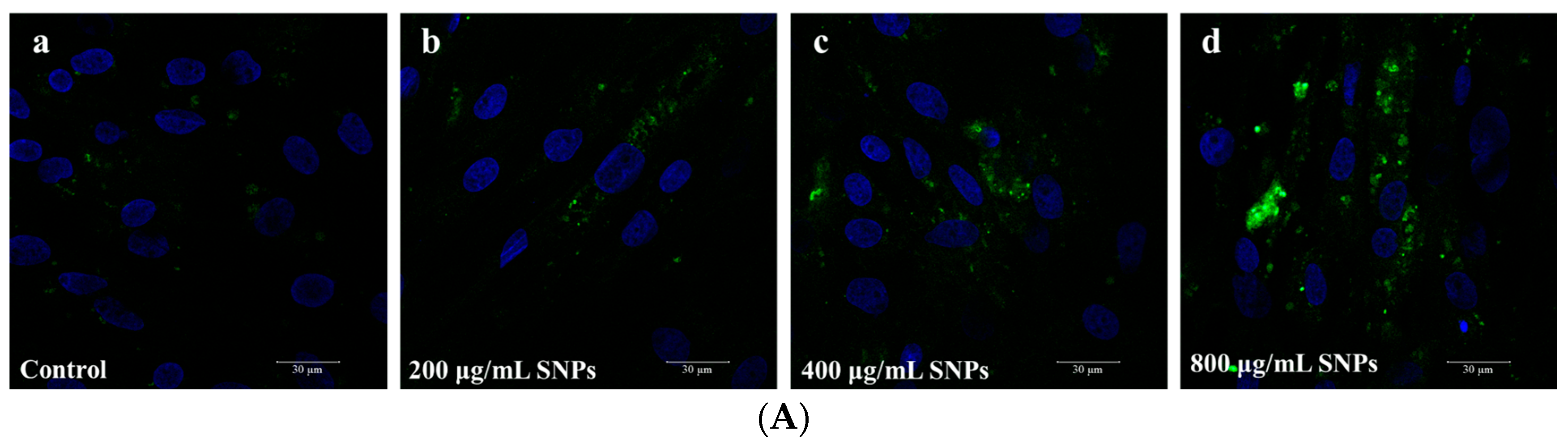 Animals 14 02959 g003a