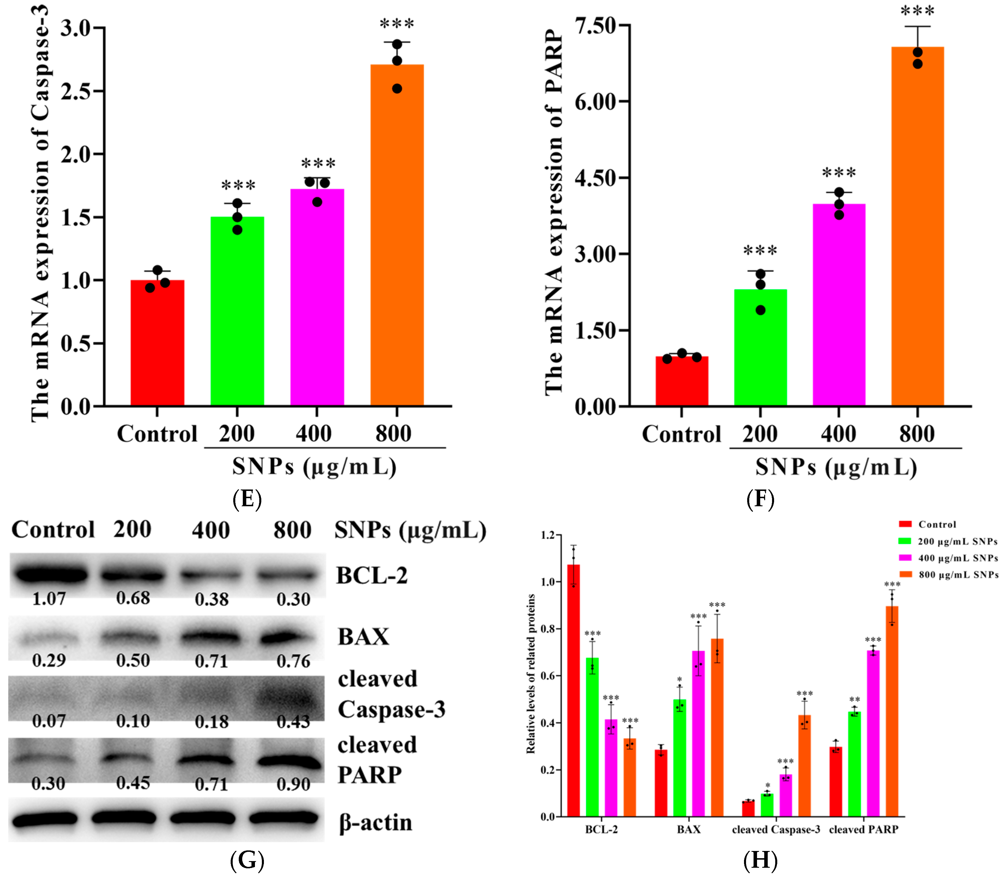 Animals 14 02959 g005b