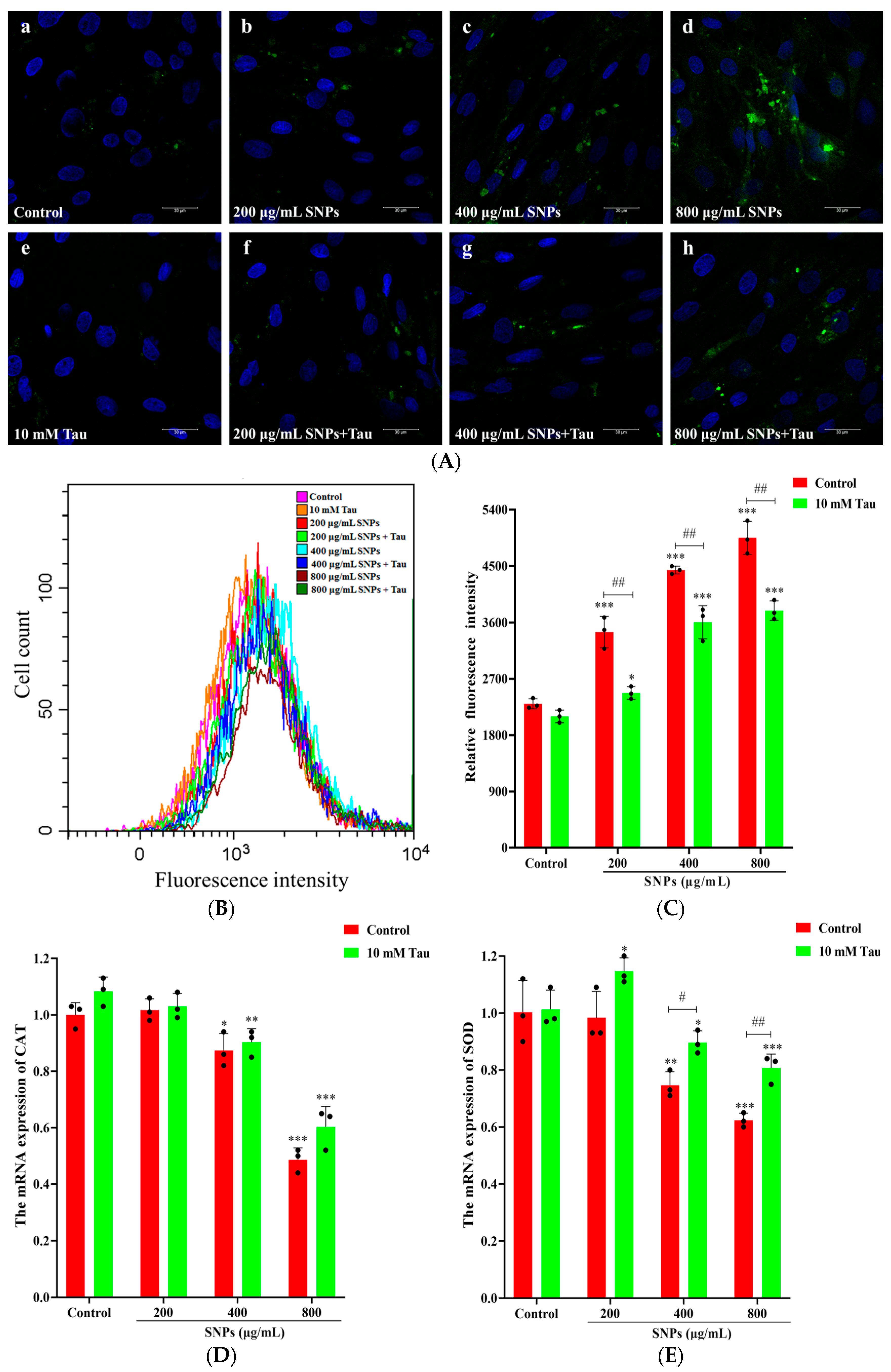 Animals 14 02959 g006a