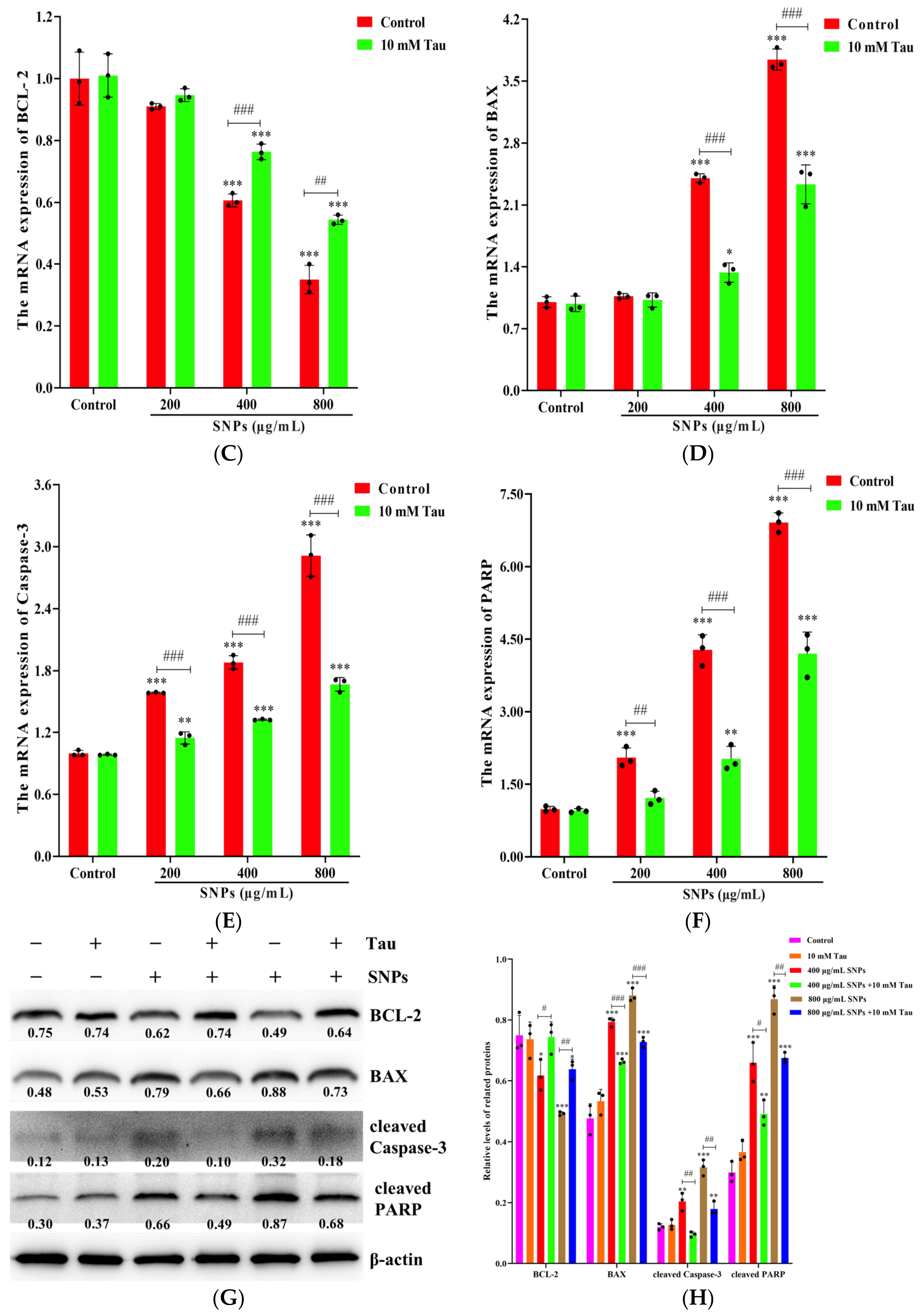 Animals 14 02959 g008b