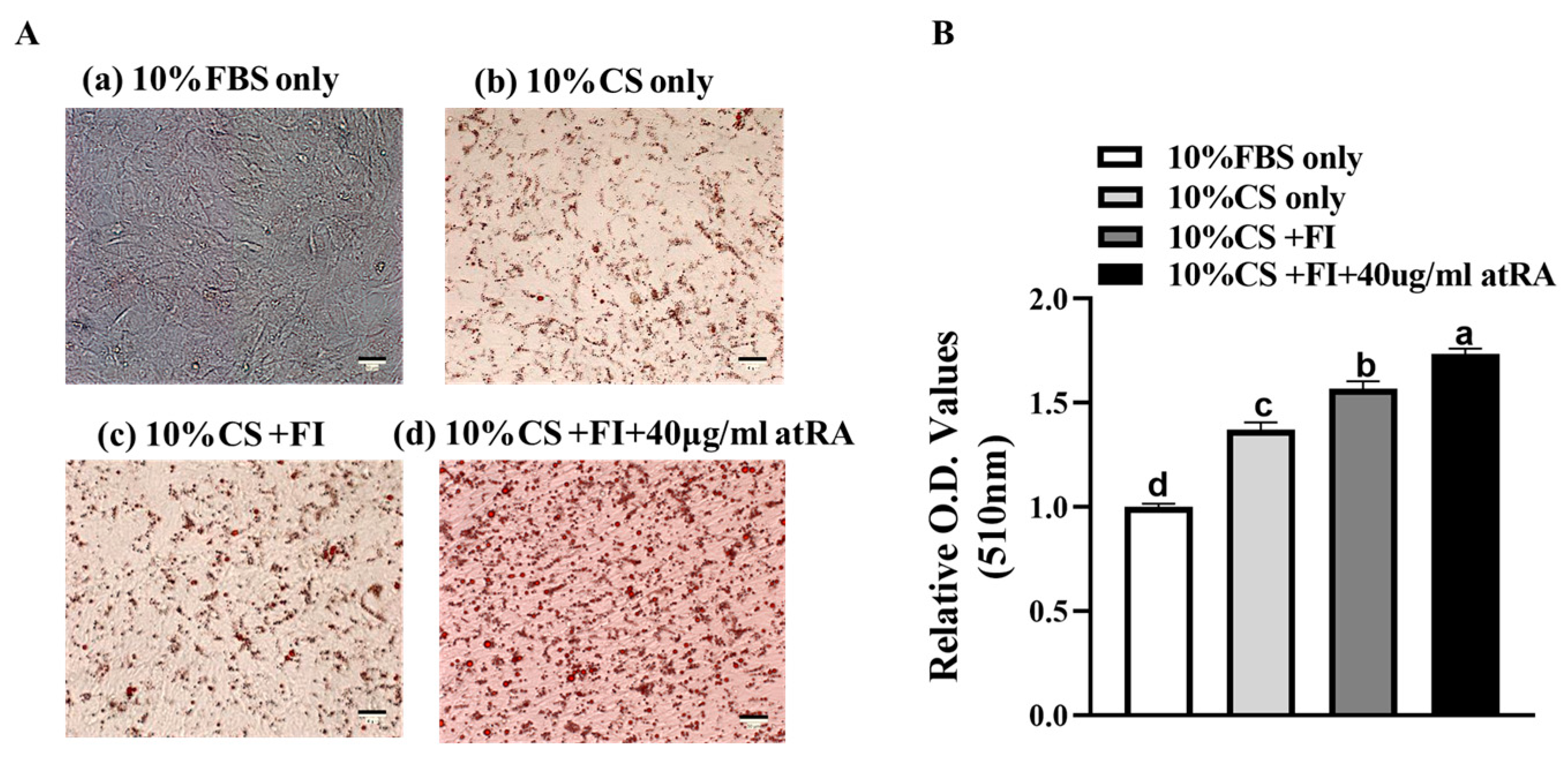 Animals 14 02973 g002