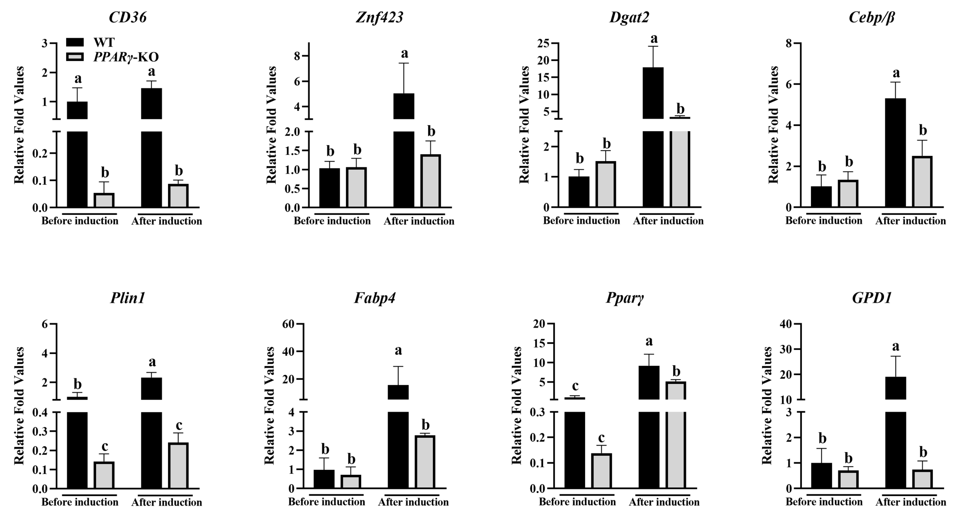 Animals 14 02973 g004