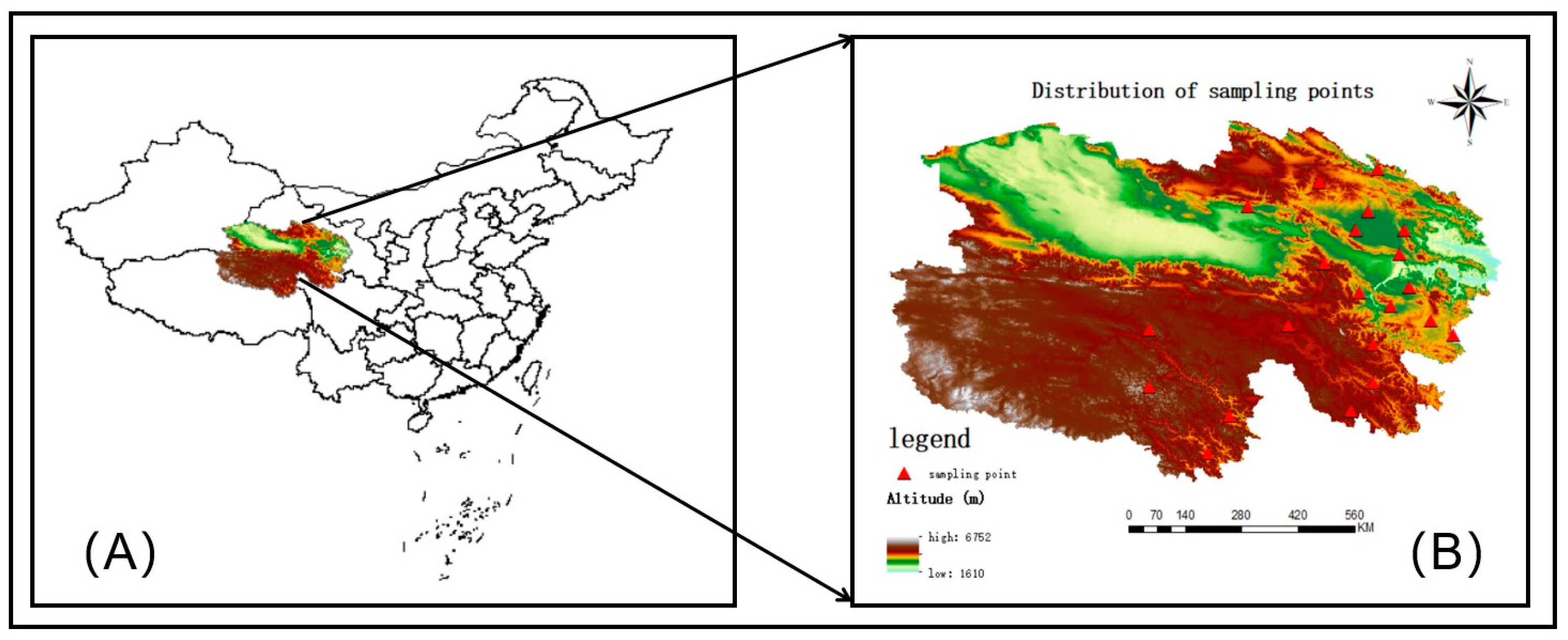 Animals 14 02975 g001