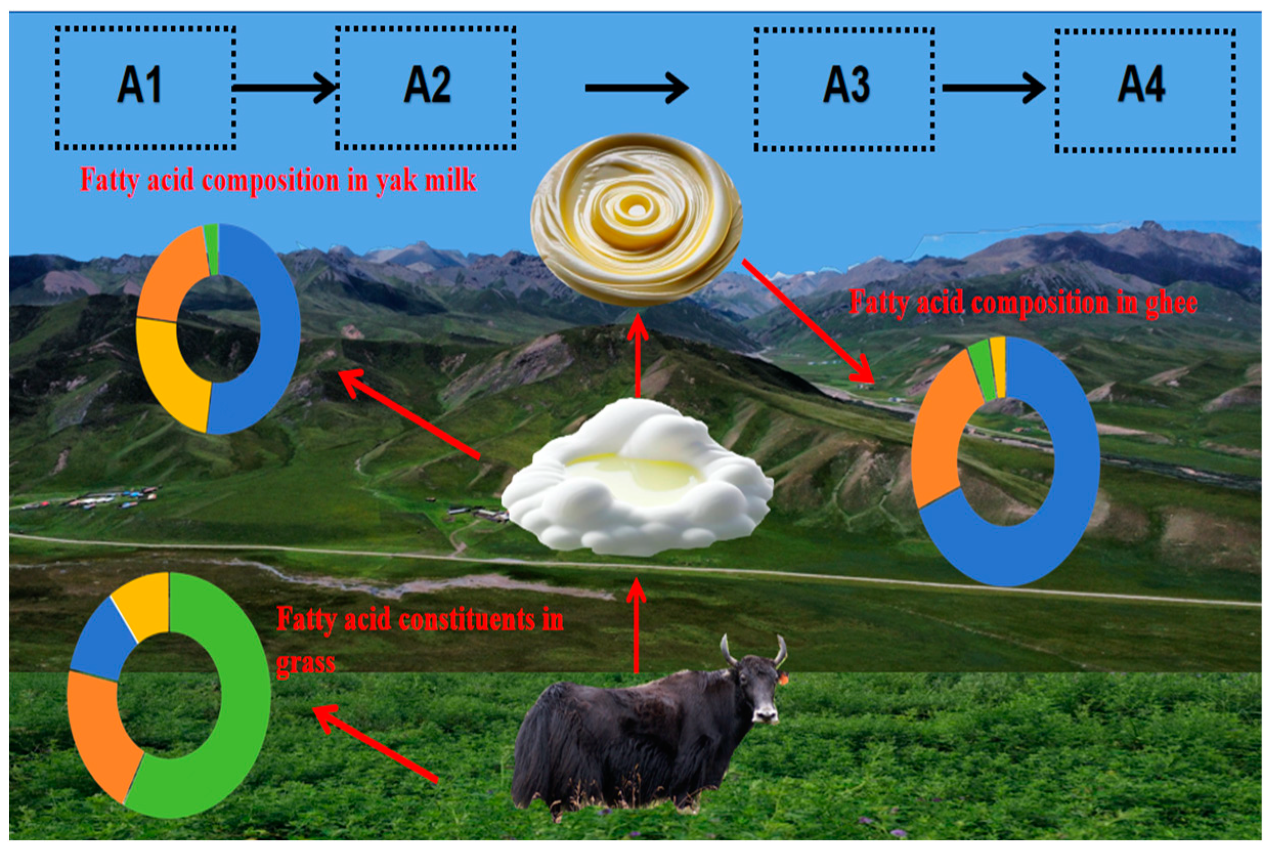 Animals 14 02975 g002