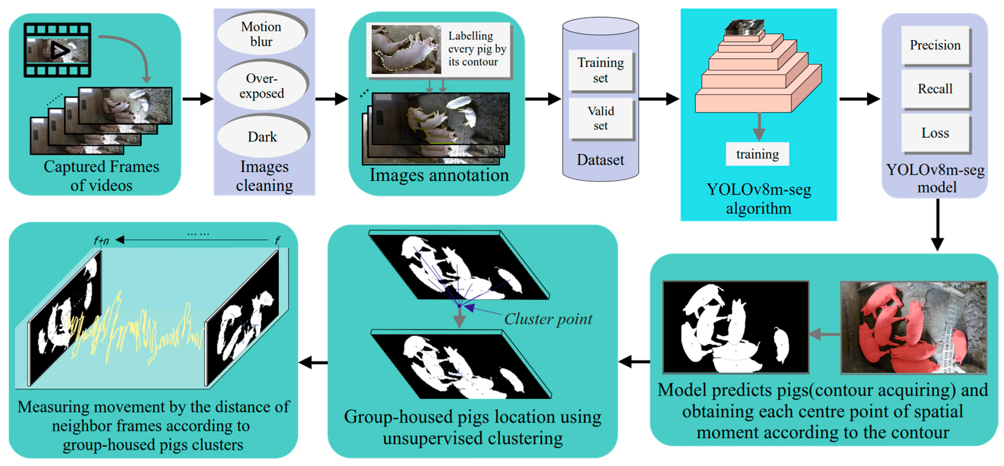 Animals 14 02985 g002