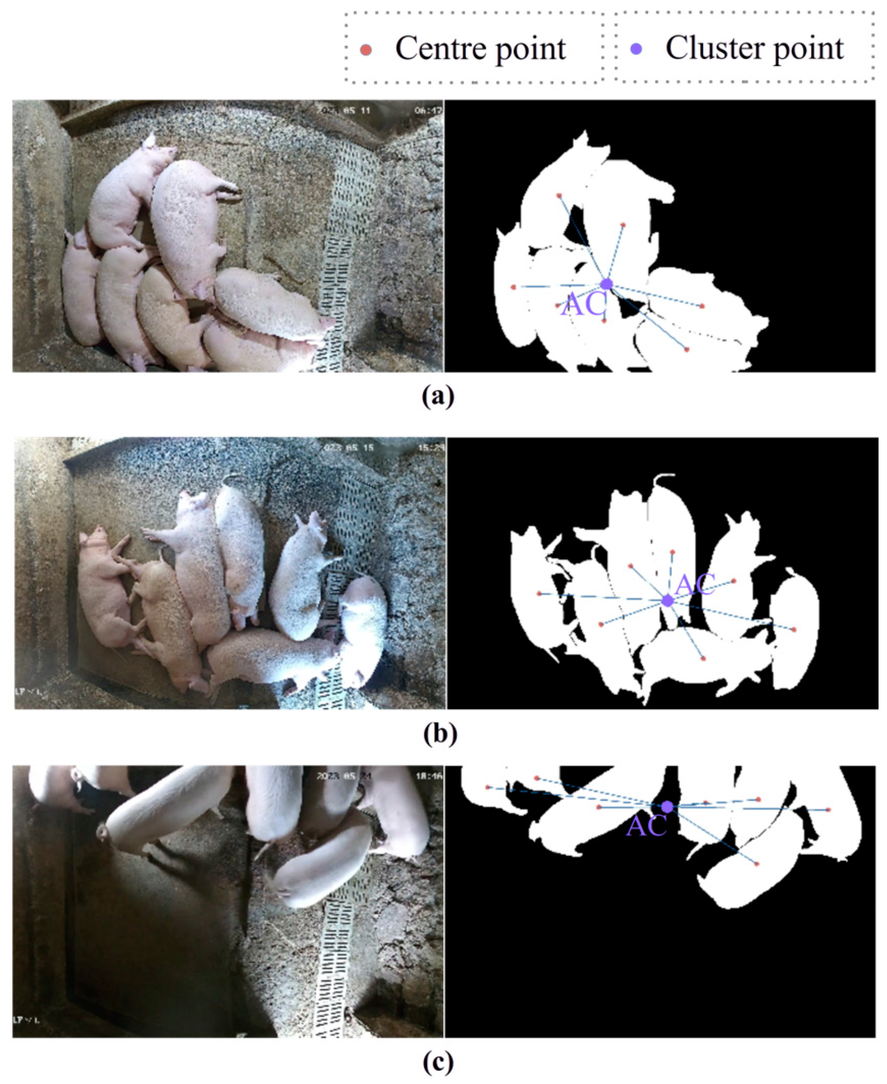 Animals 14 02985 g010