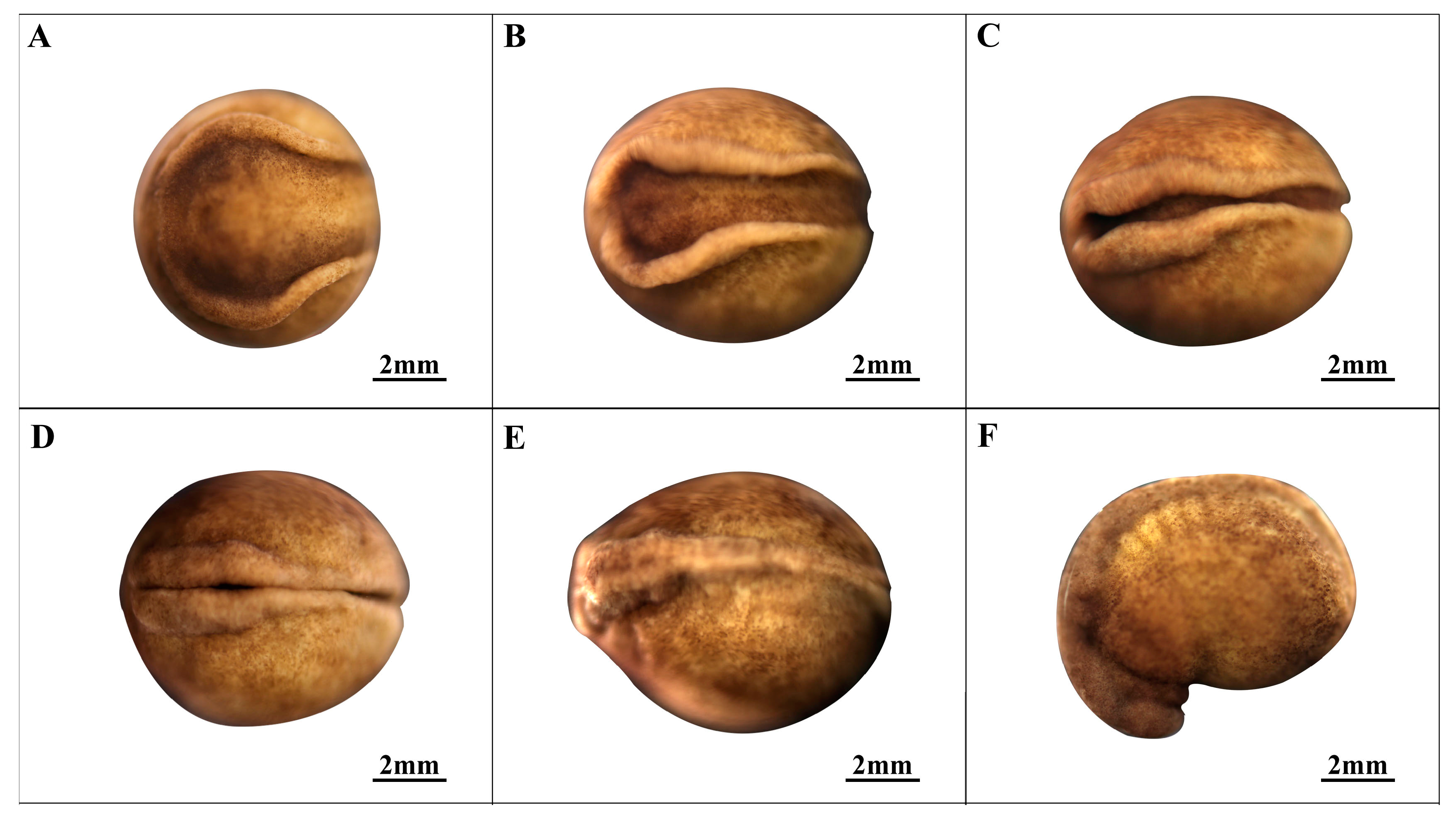 Animals 14 03007 g004