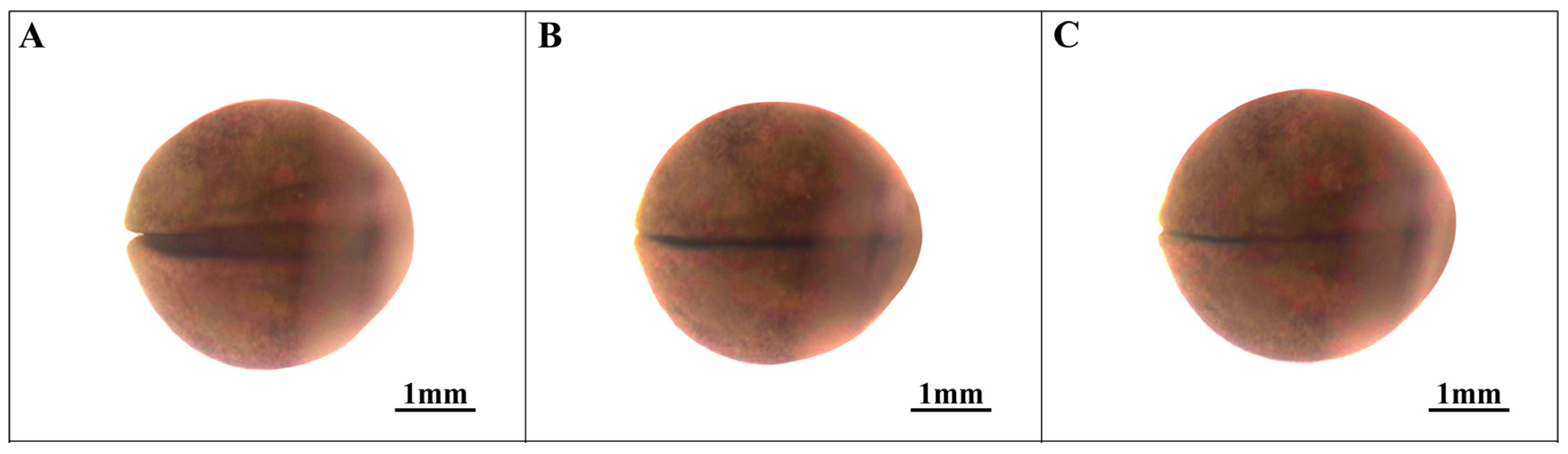 Animals 14 03007 g005