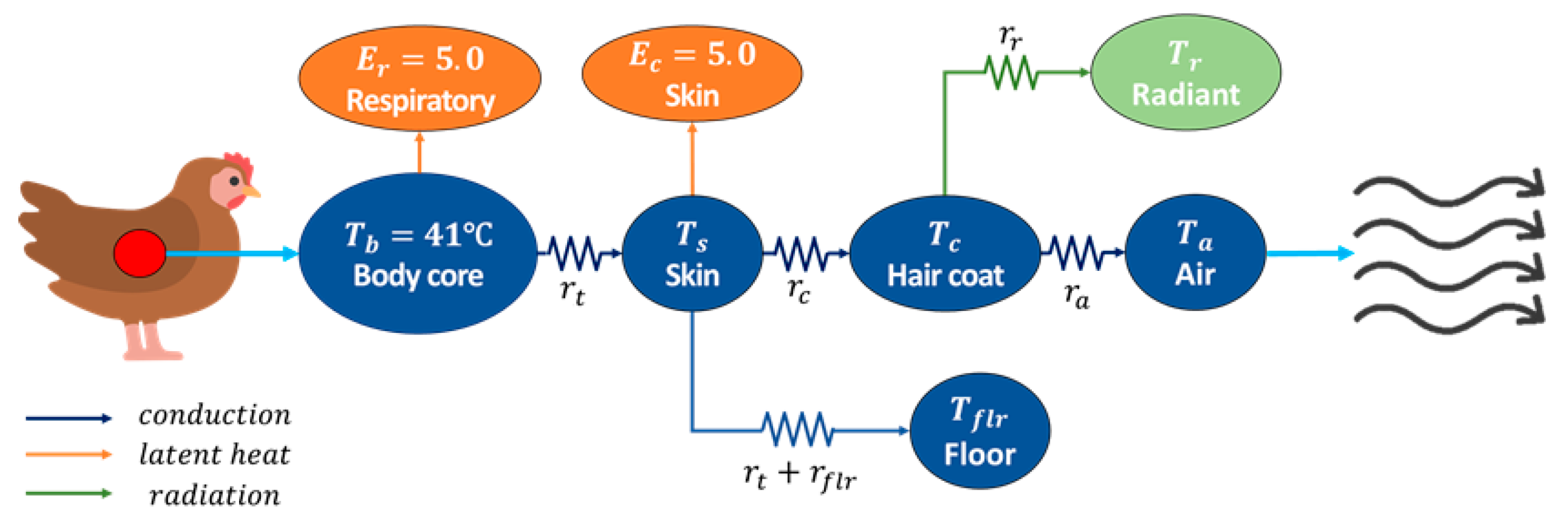 Animals 14 03019 g003