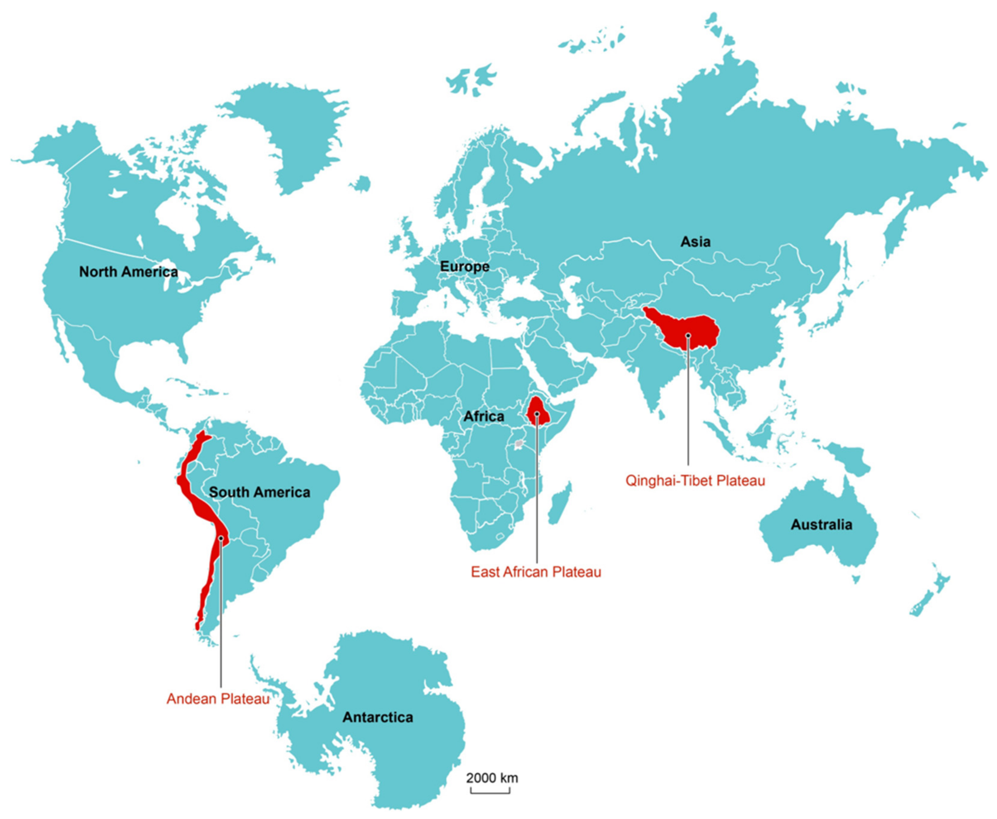 Animals 14 03031 g001