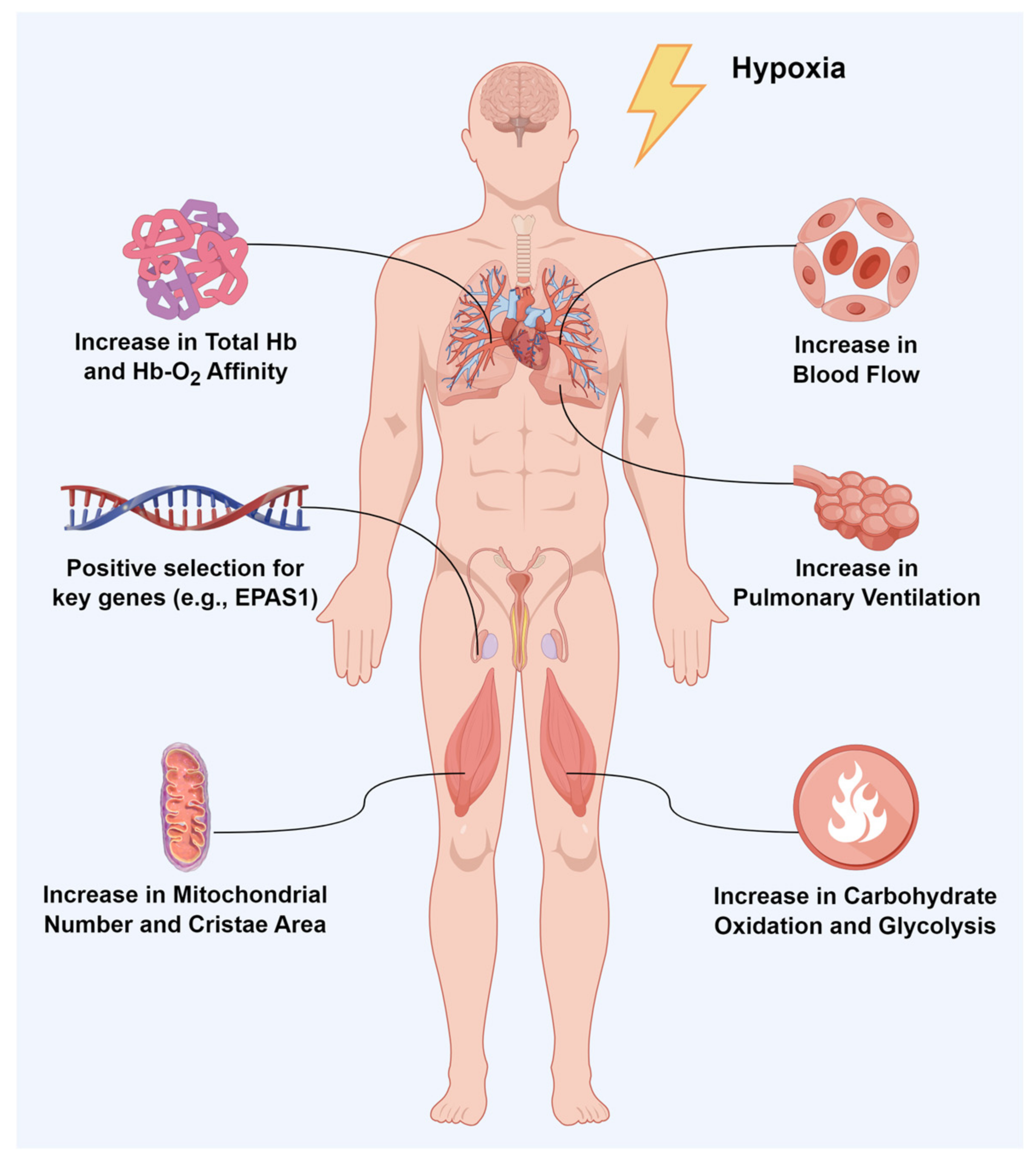 Animals 14 03031 g002