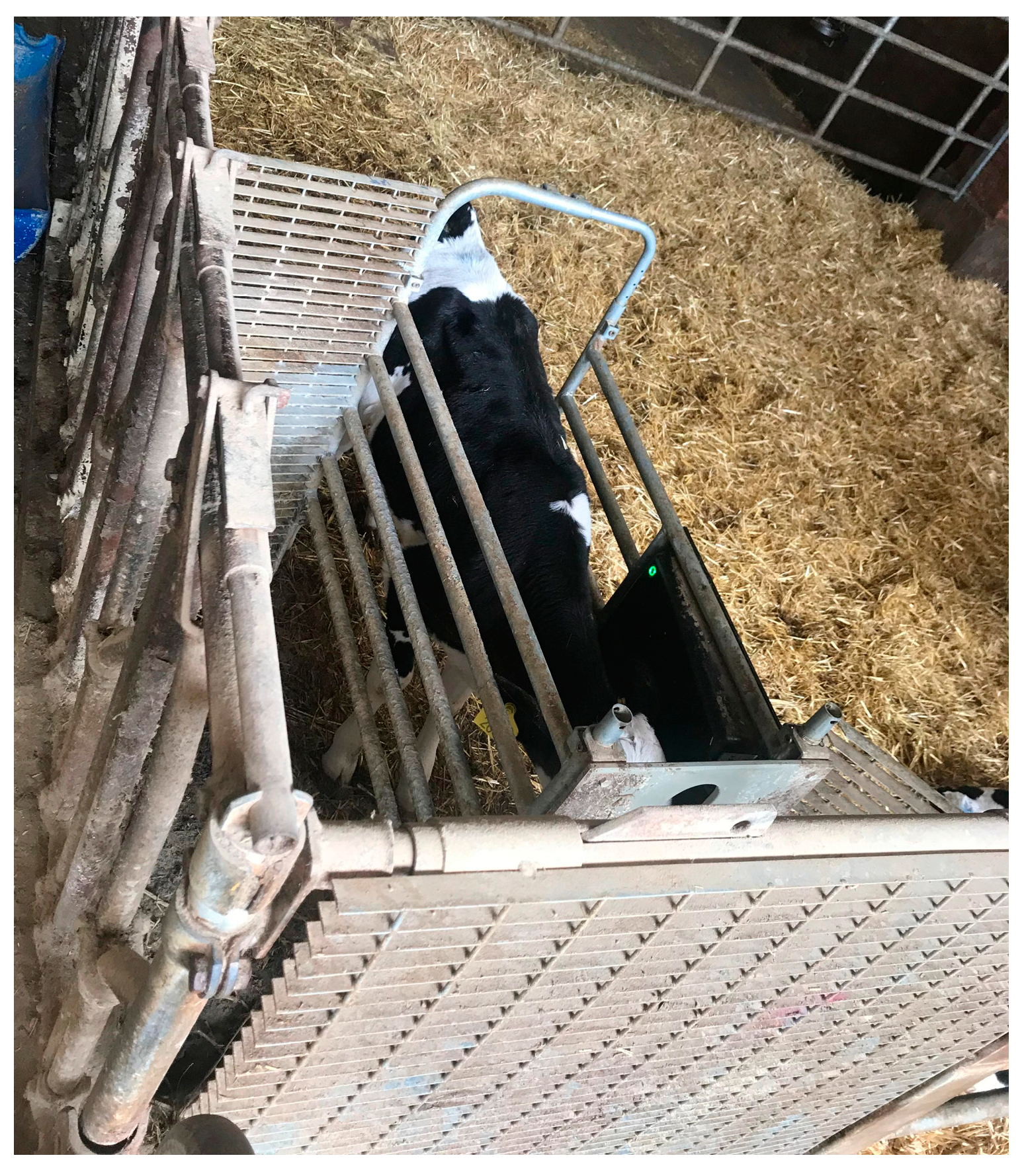 Animals 14 03071 g004