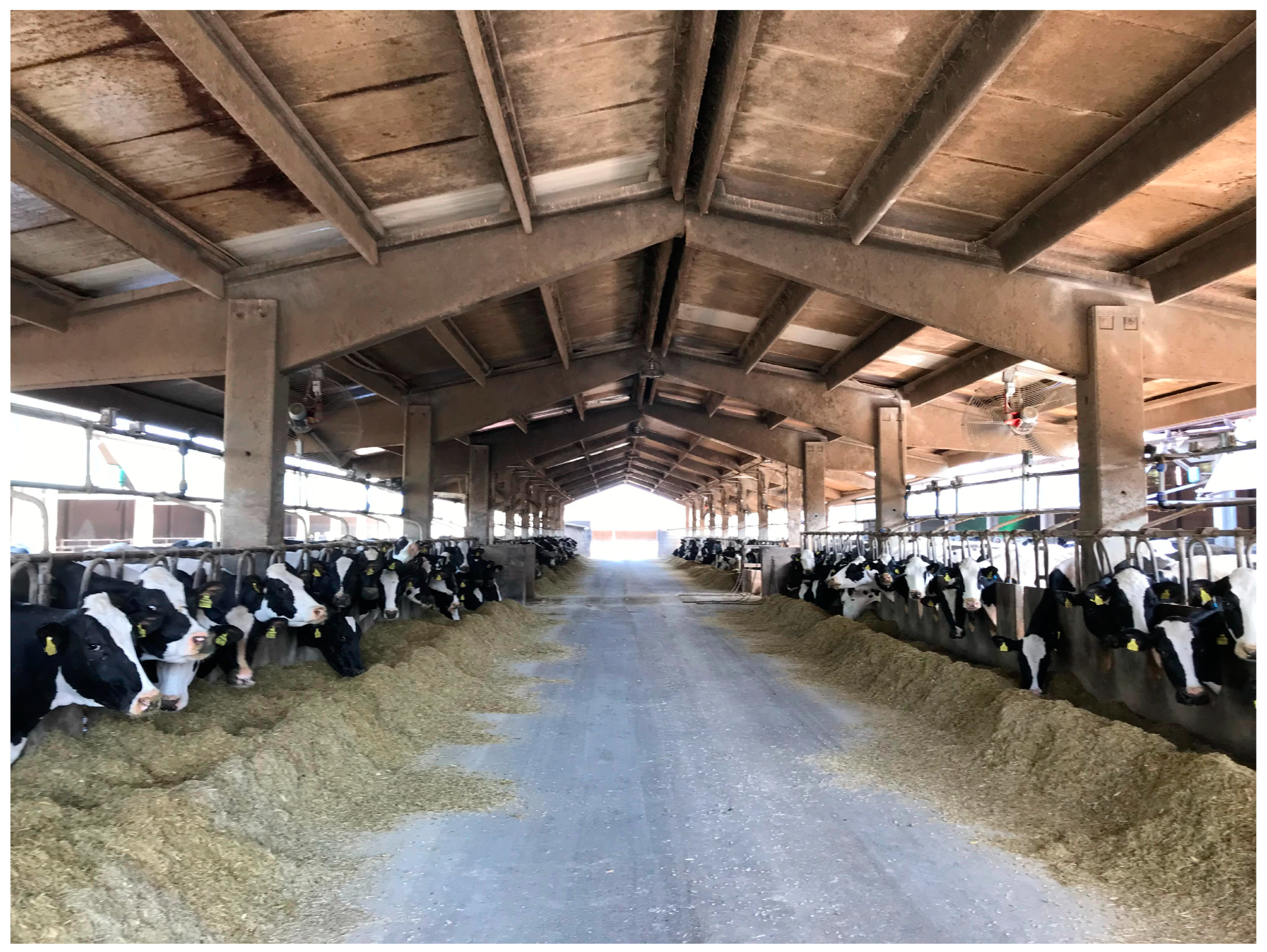 Animals 14 03071 g007