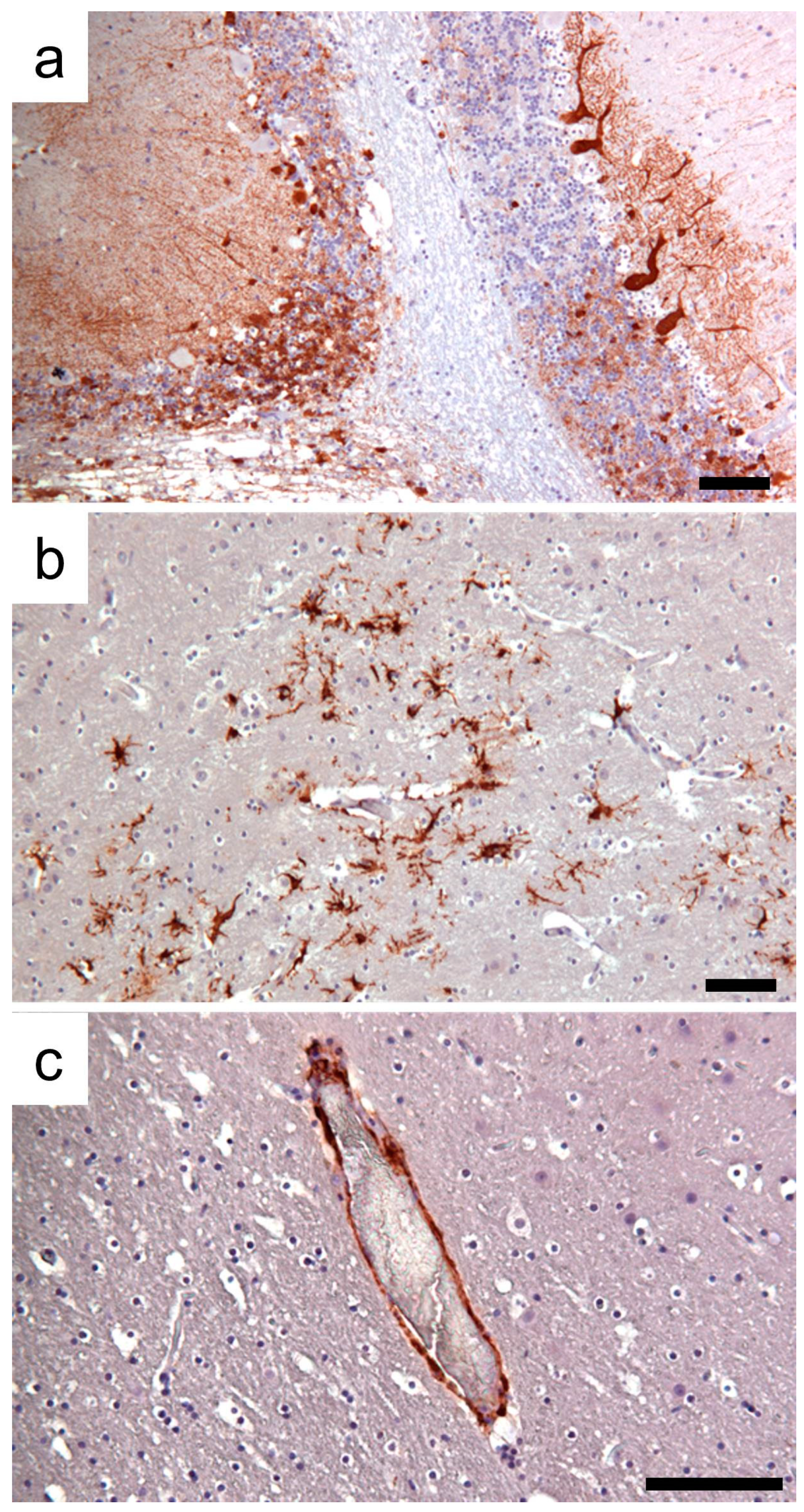 Animals 14 03134 g005