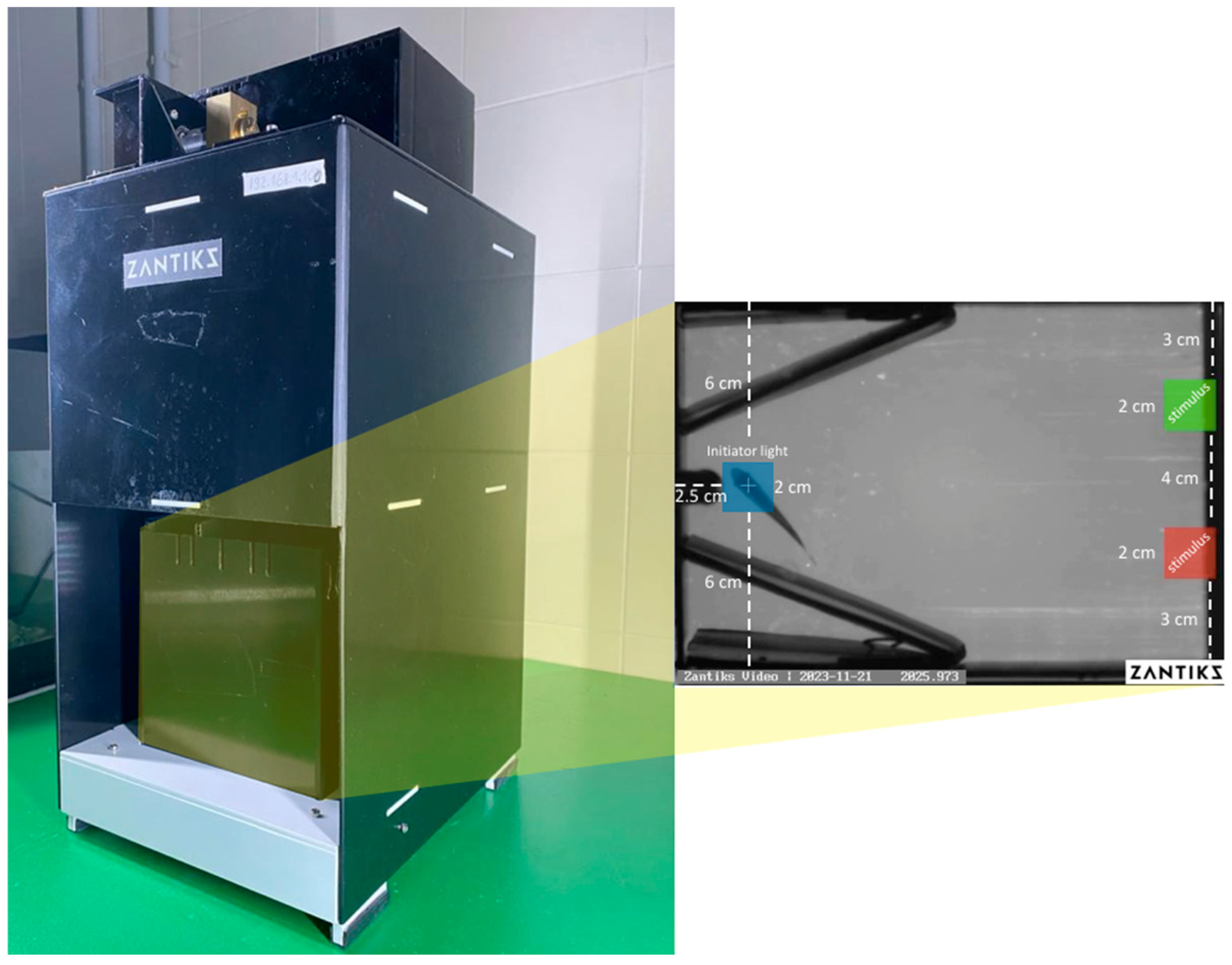 Animals 14 03187 g002