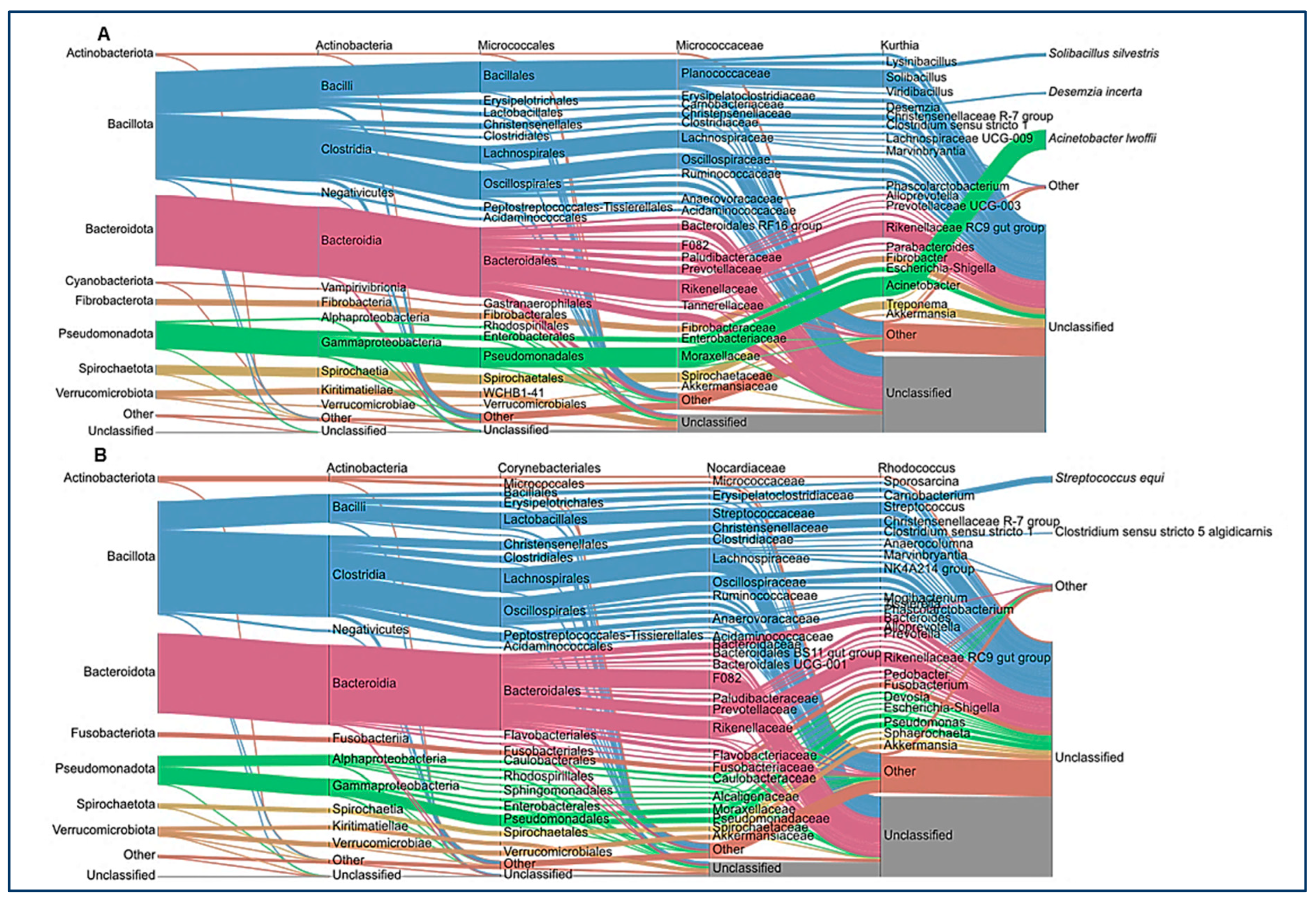 Animals 14 03222 g003 Animals 14 03222 g003
