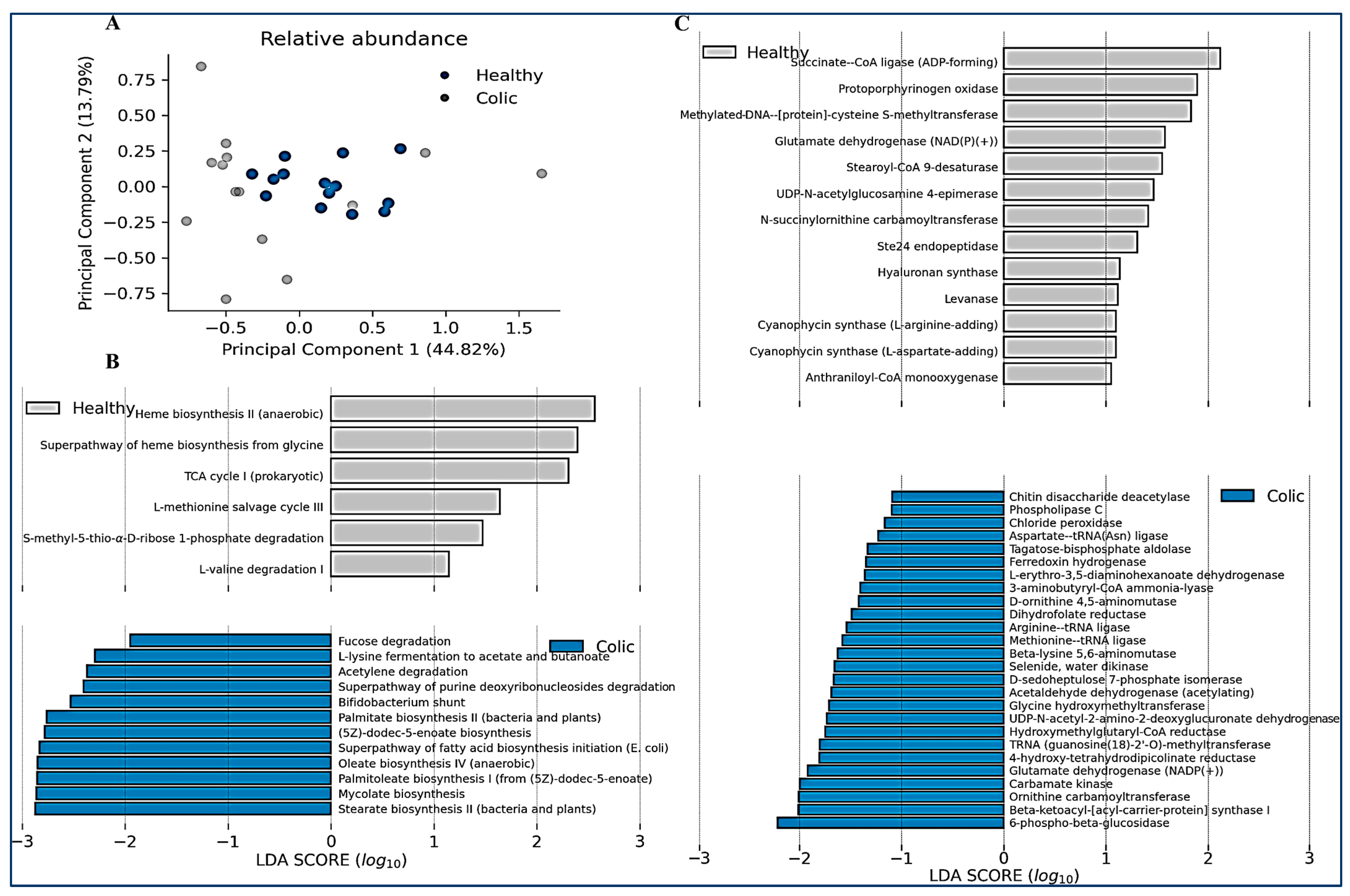 Animals 14 03222 g005 Animals 14 03222 g005