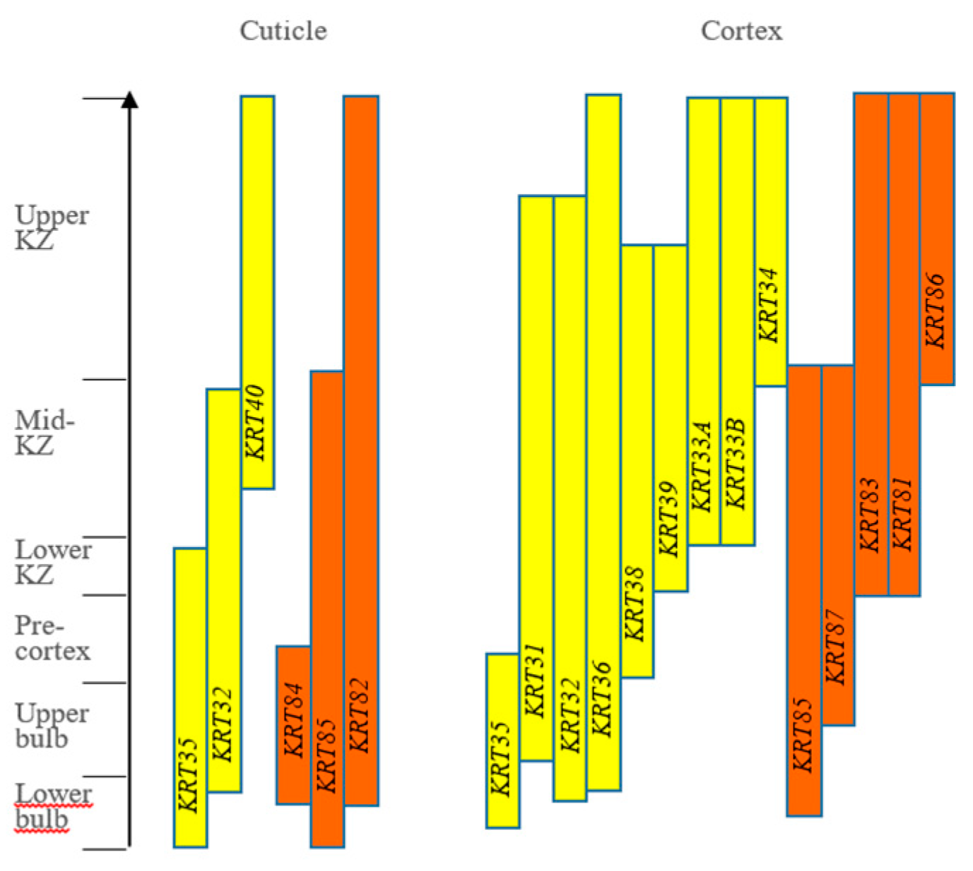 Animals 14 03228 g002 Animals 14 03228 g002