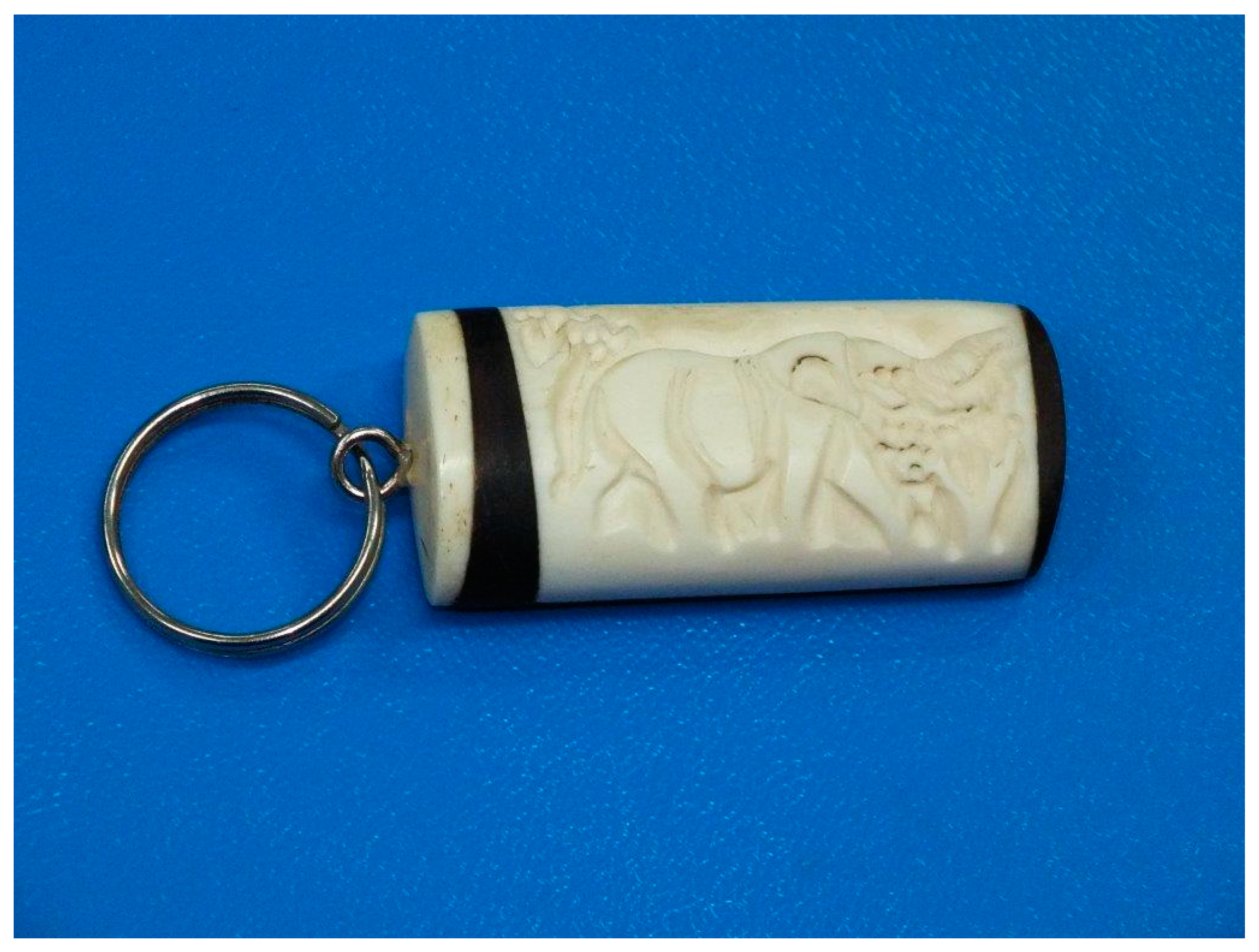 Animals 14 03256 g001