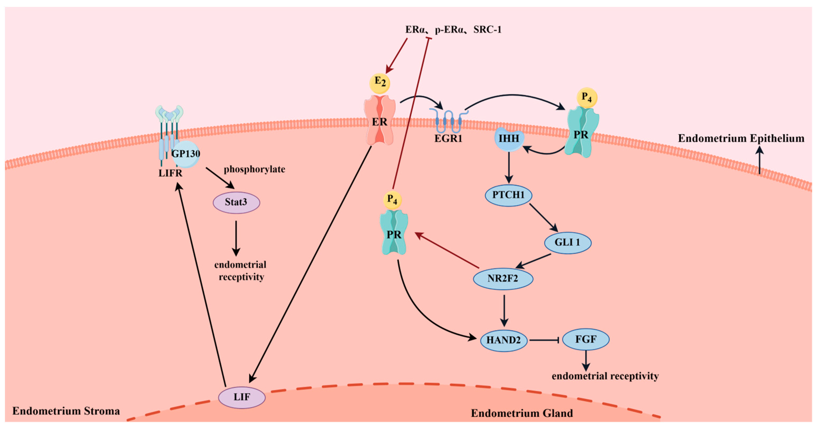 Animals 14 03266 g003