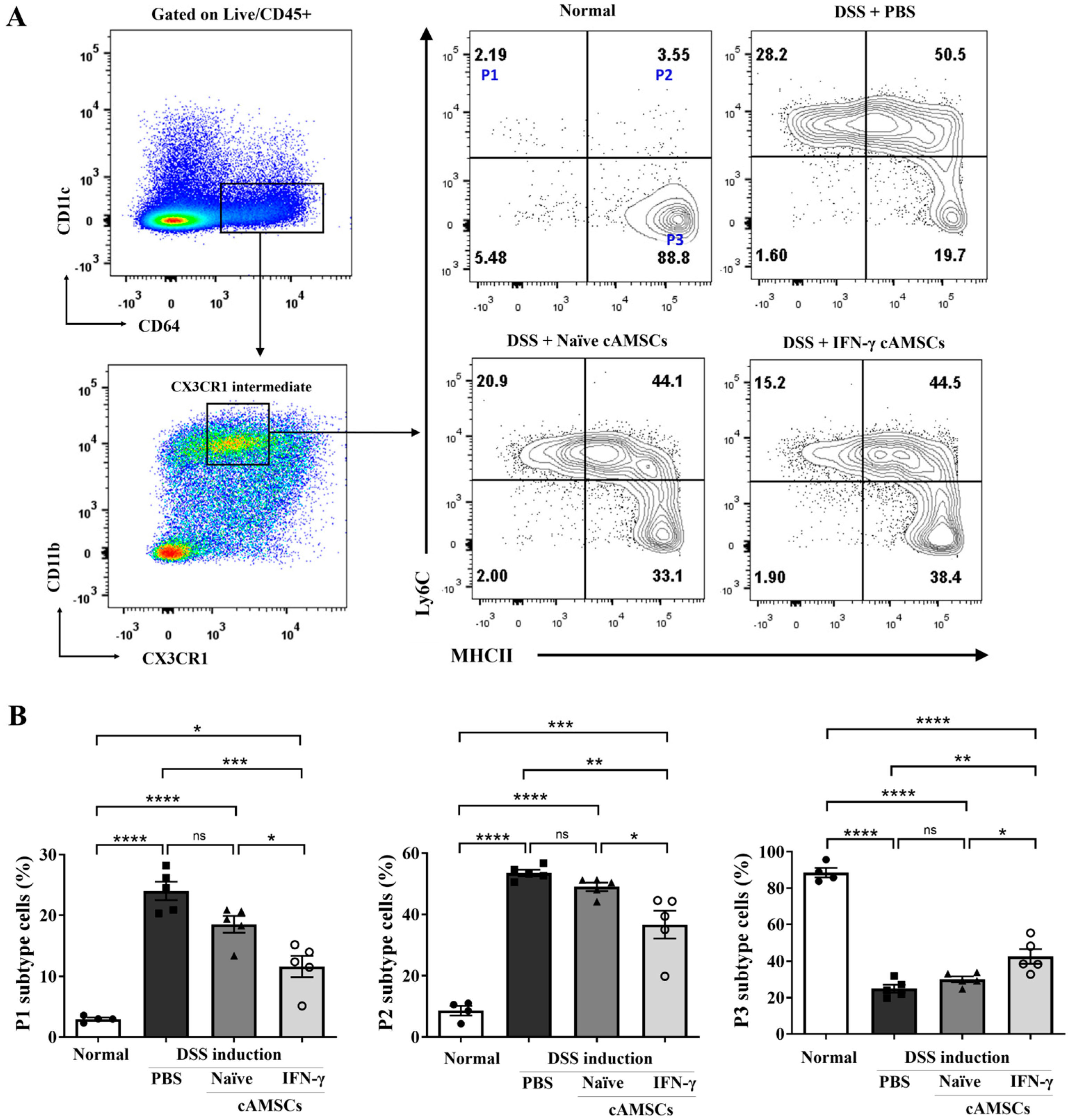 Animals 14 03283 g003