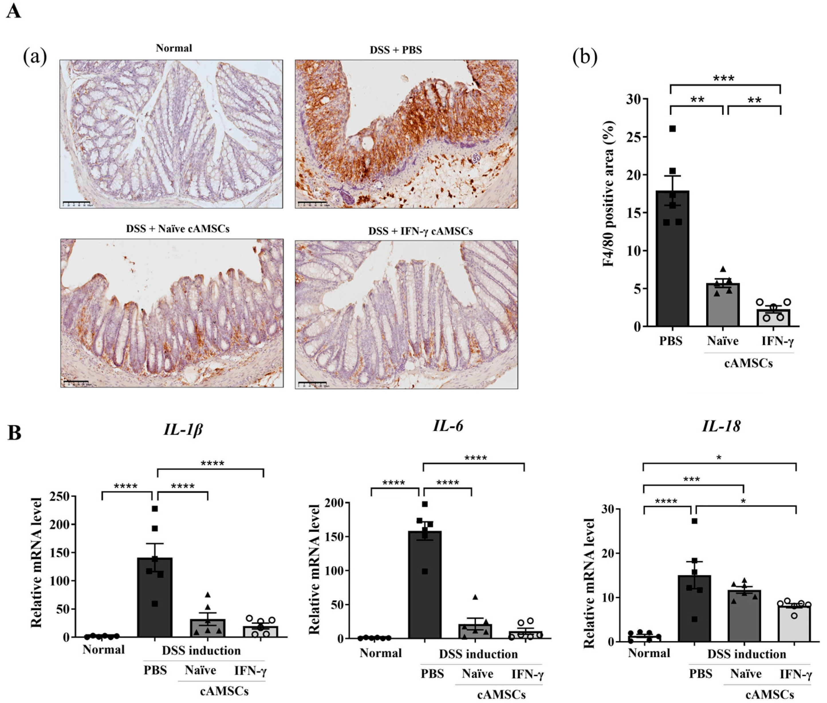 Animals 14 03283 g004