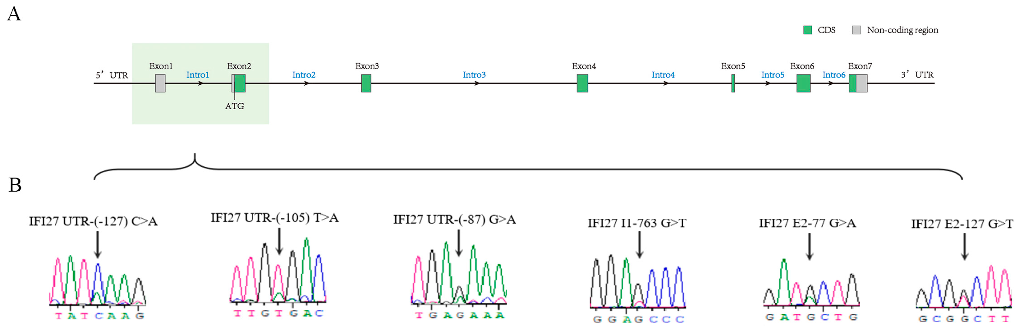 Animals 14 03284 g002